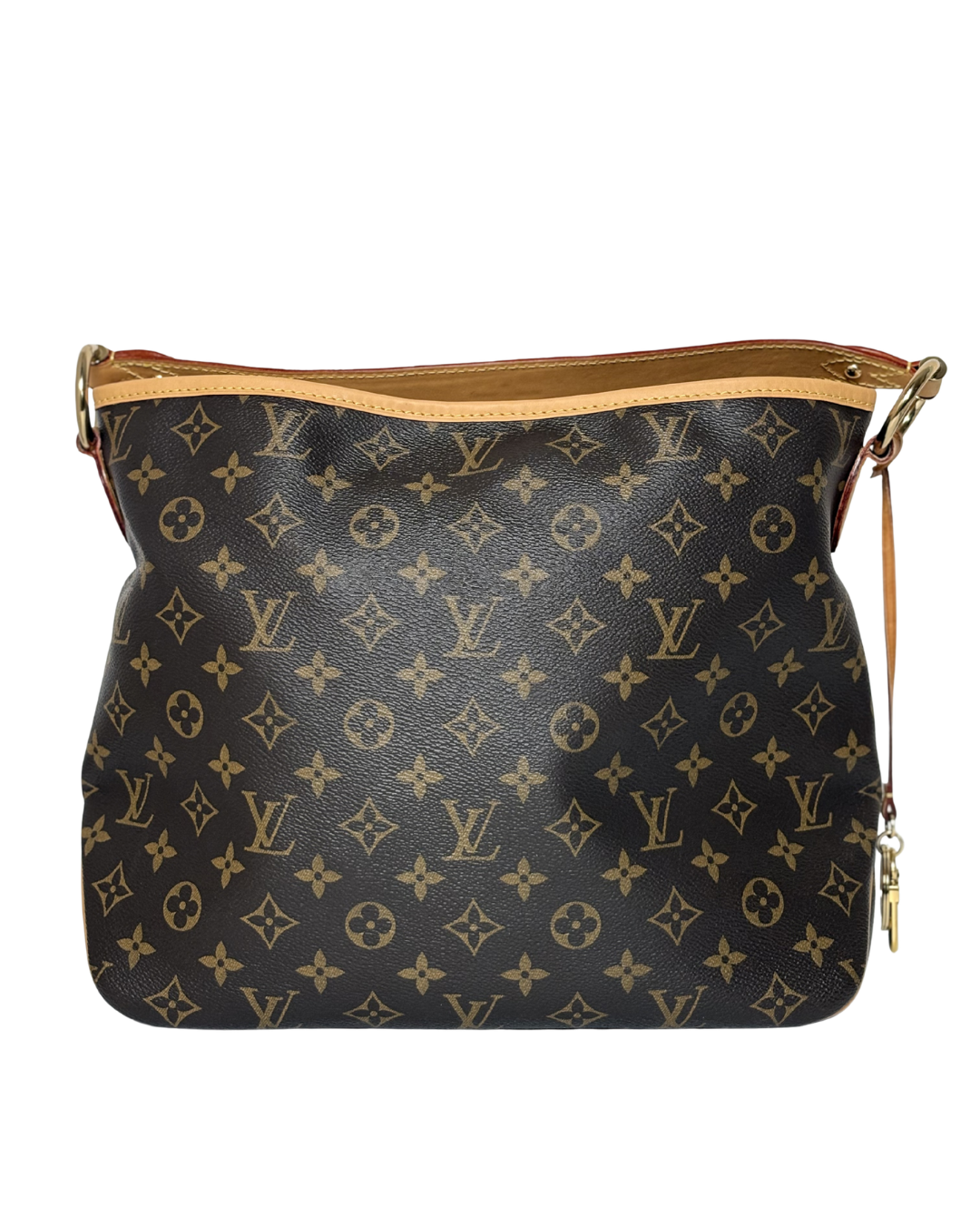 LOUIS VUITTON Delightful PM Monogram