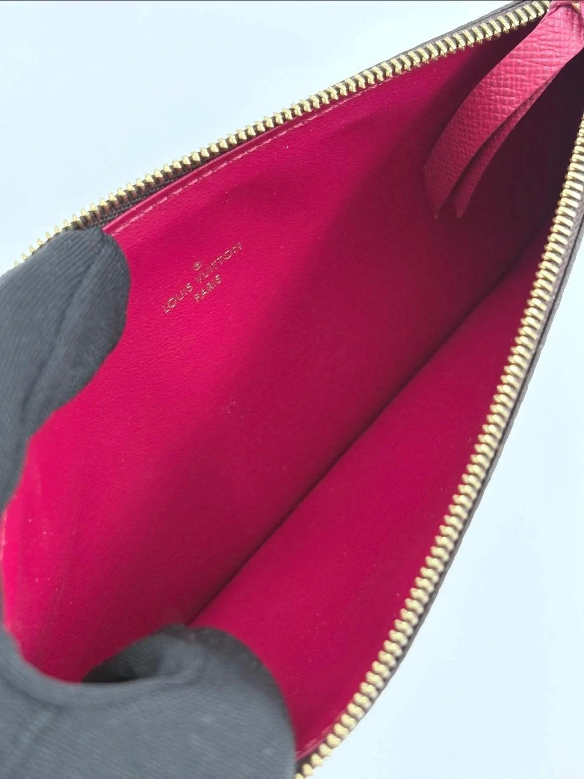 LOUIS VUITTON Pochette Félicie monogram canvas