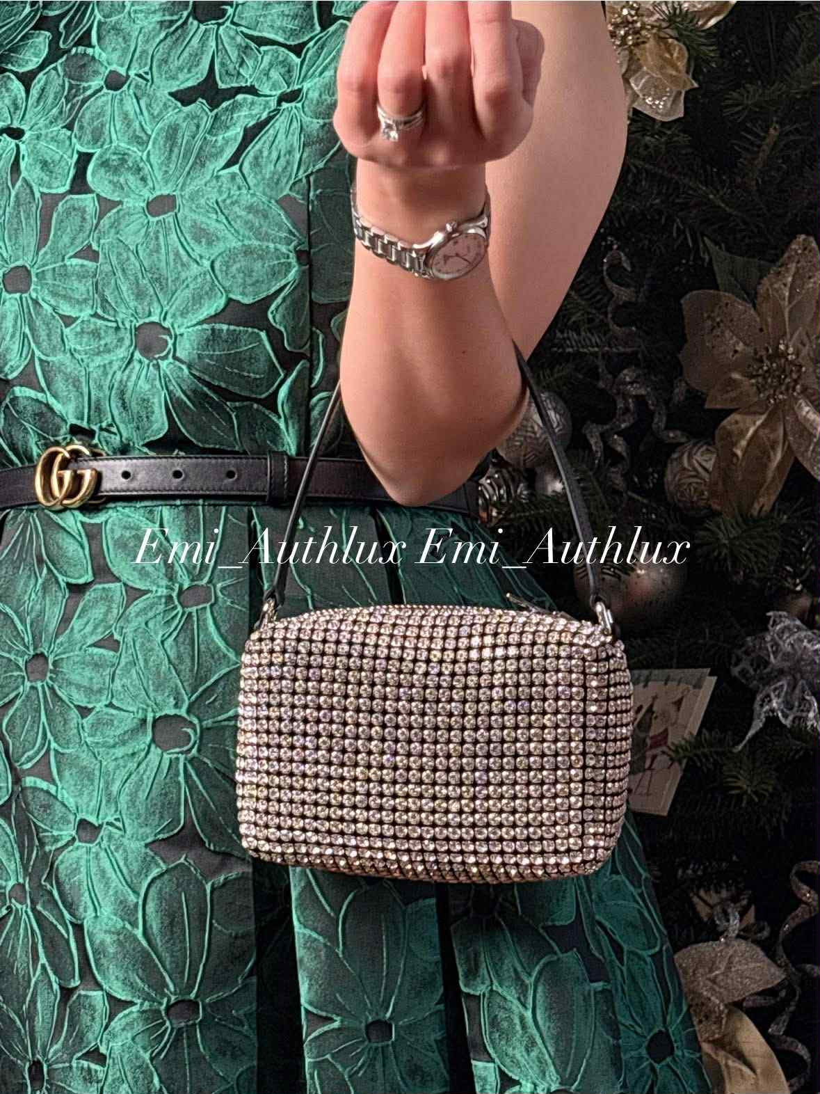 ALEXANDER WANG Heiress pouch in crystal mesh