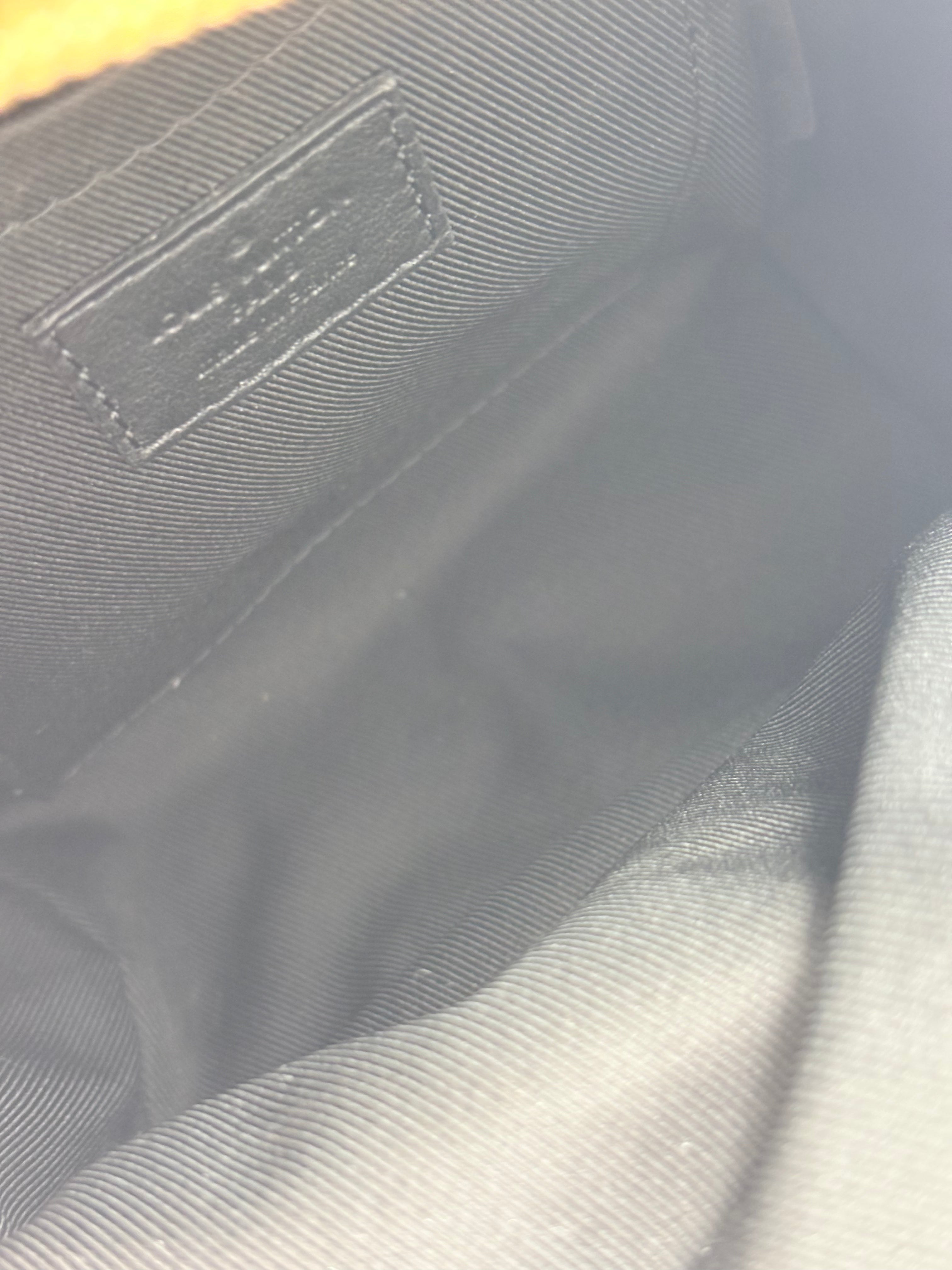 LOUIS VUITTON Reverse Monogram Palm Springs Backpack Mini (discontinued)