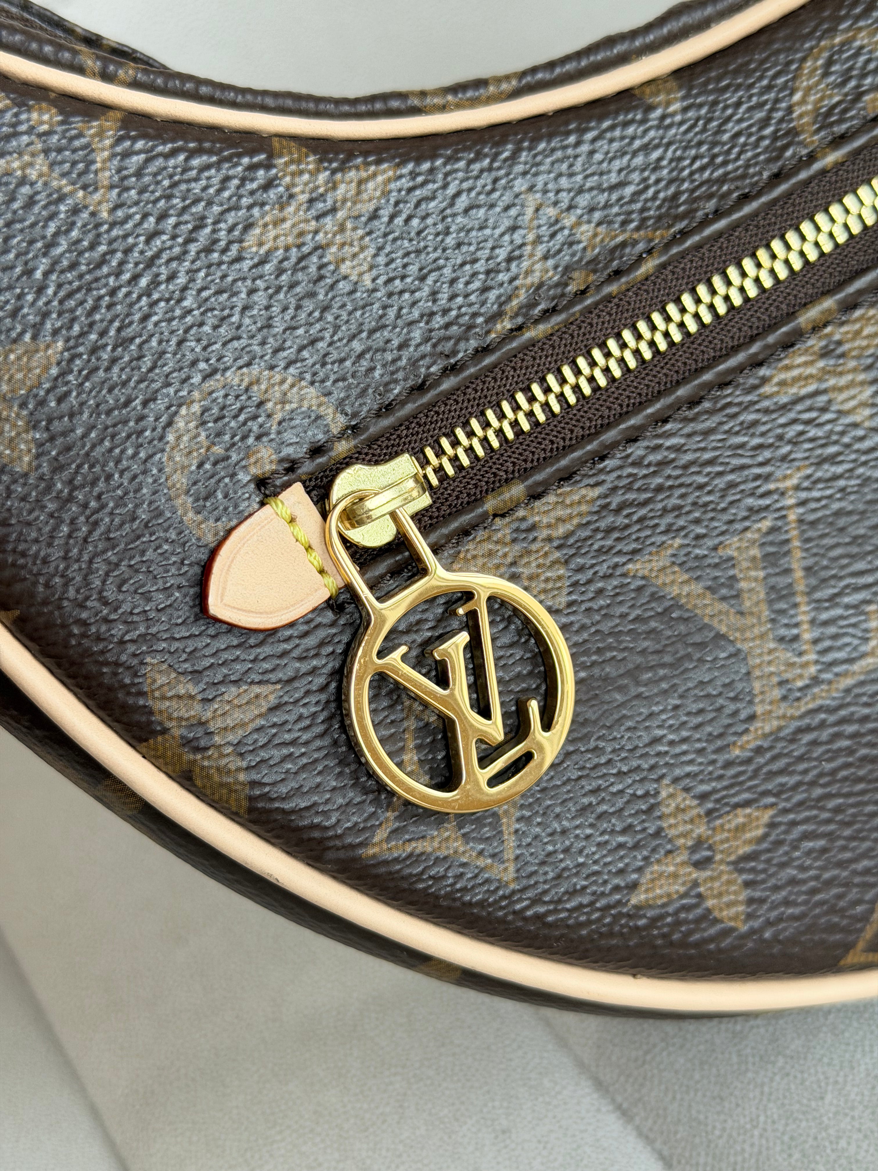 LOUIS VUITTON Loop PM Monogram