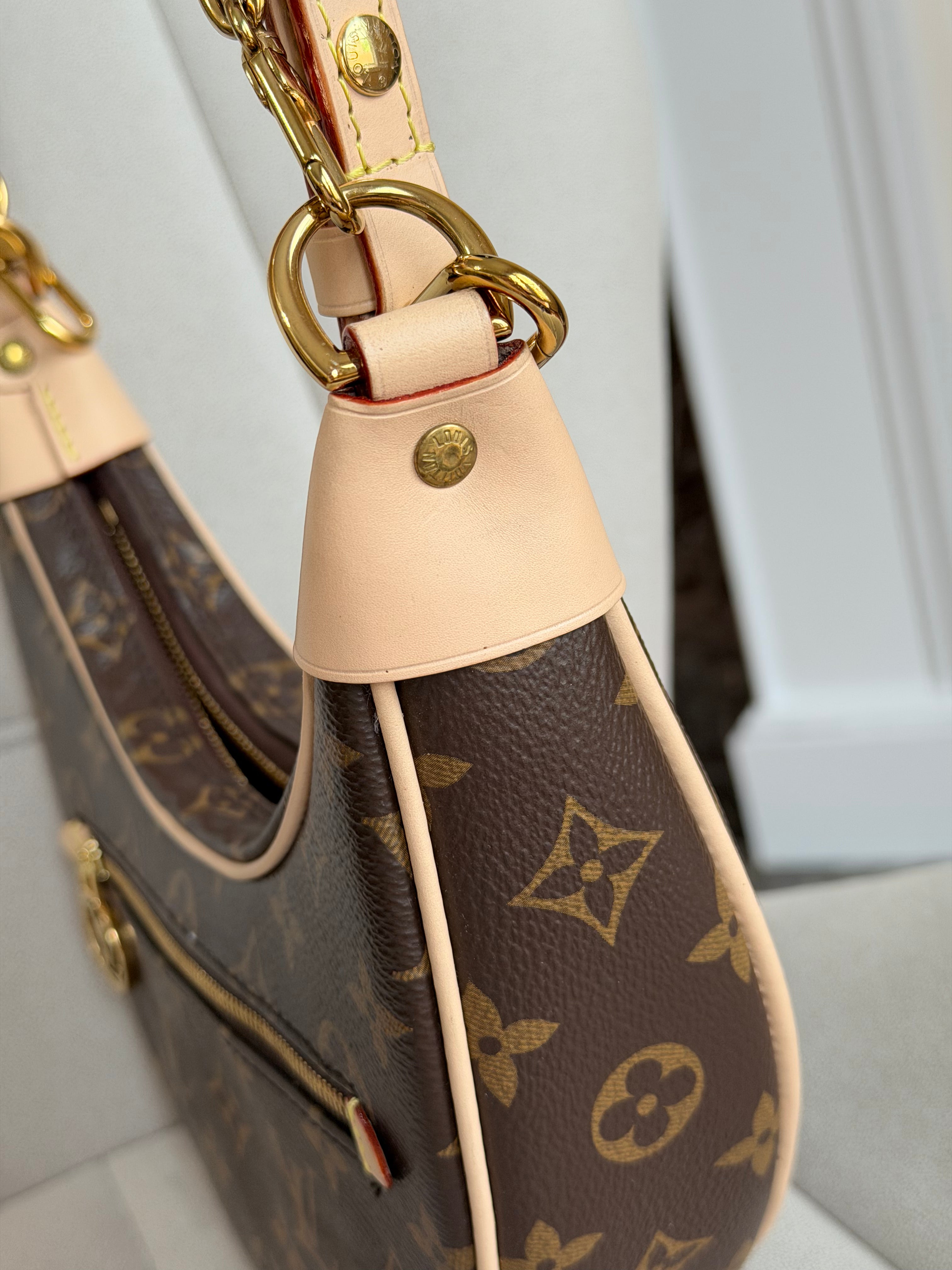 LOUIS VUITTON Loop PM Monogram