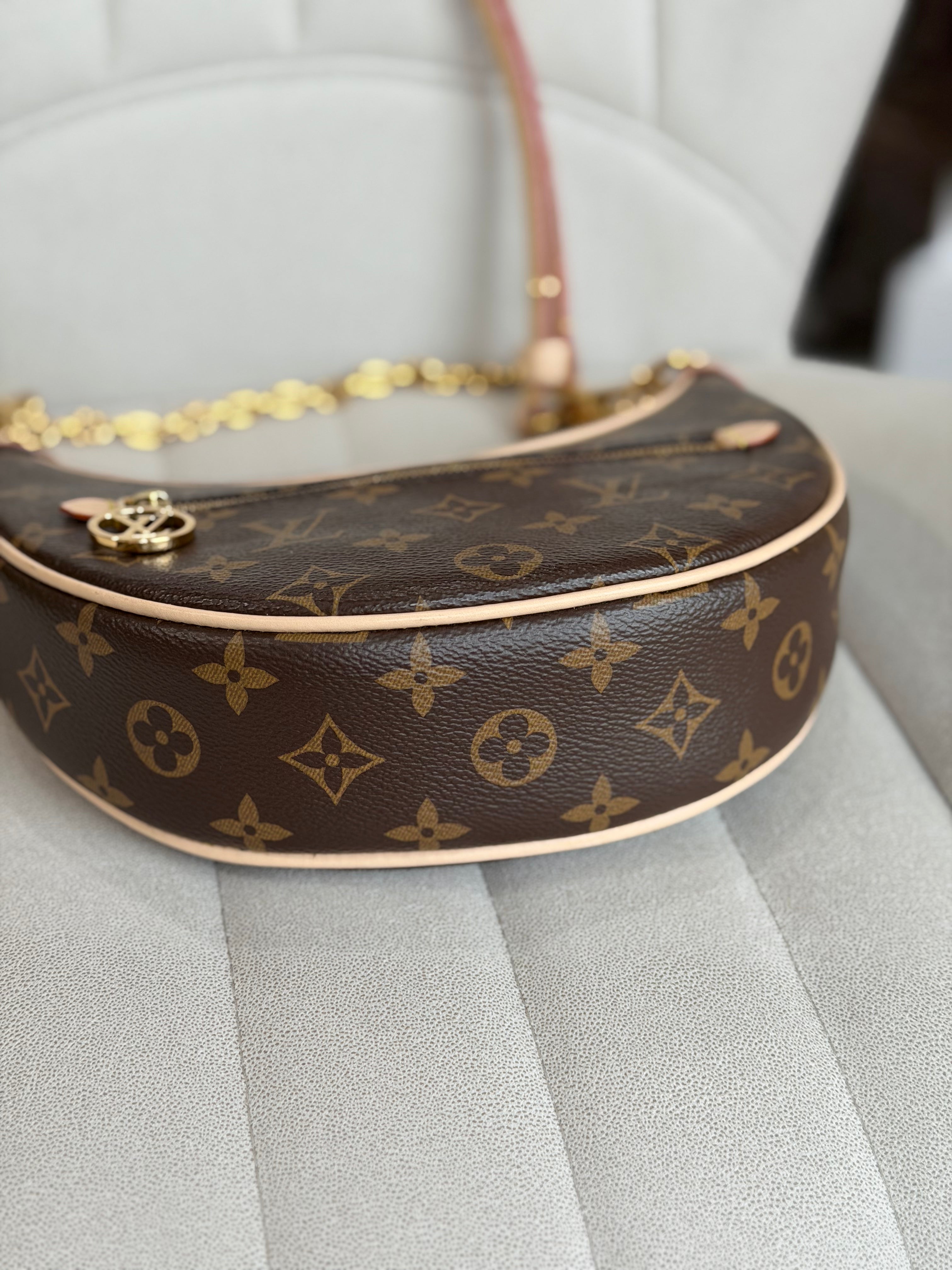 LOUIS VUITTON Loop PM Monogram