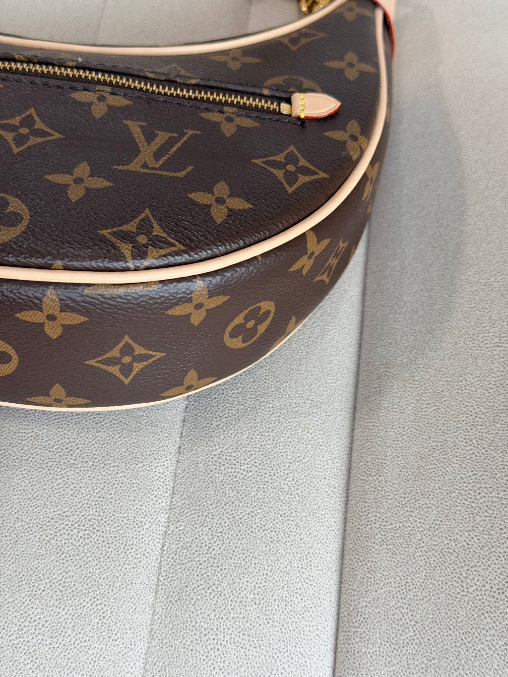 LOUIS VUITTON Loop PM Monogram