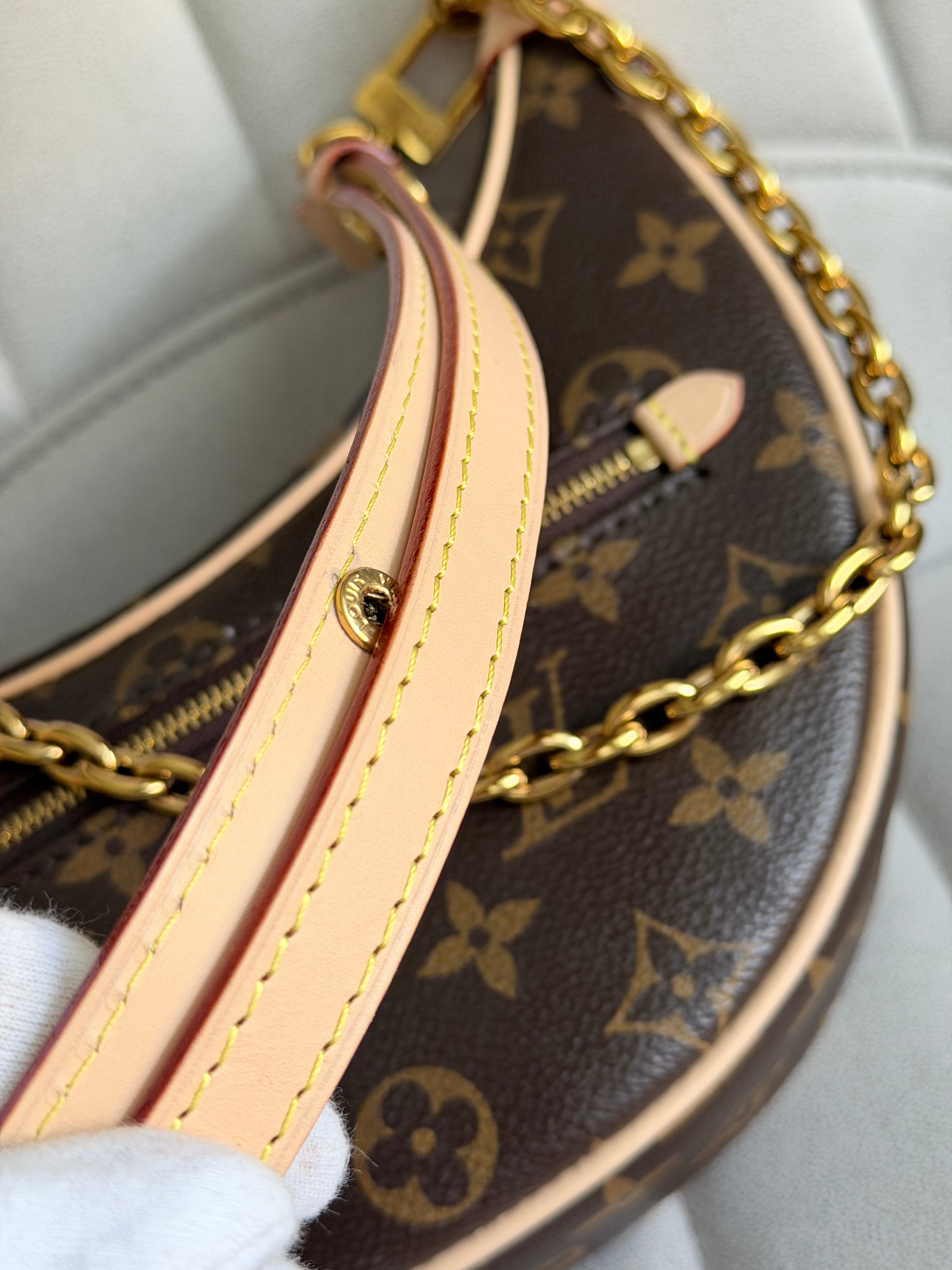 LOUIS VUITTON Loop PM Monogram