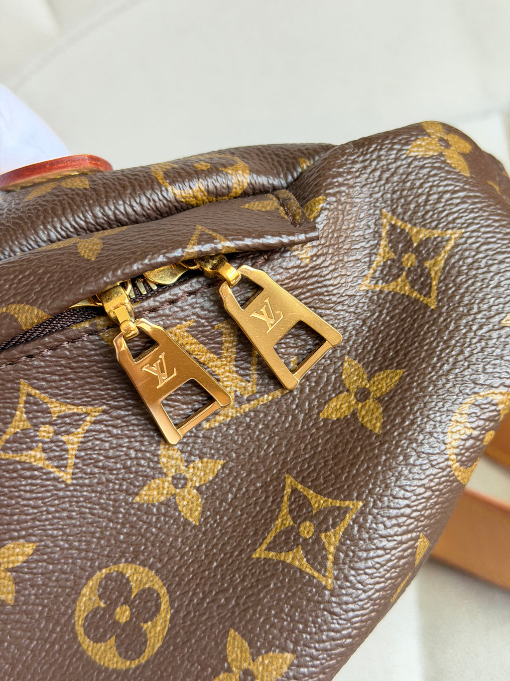 LOUIS VUITTON Bumbag Monogram