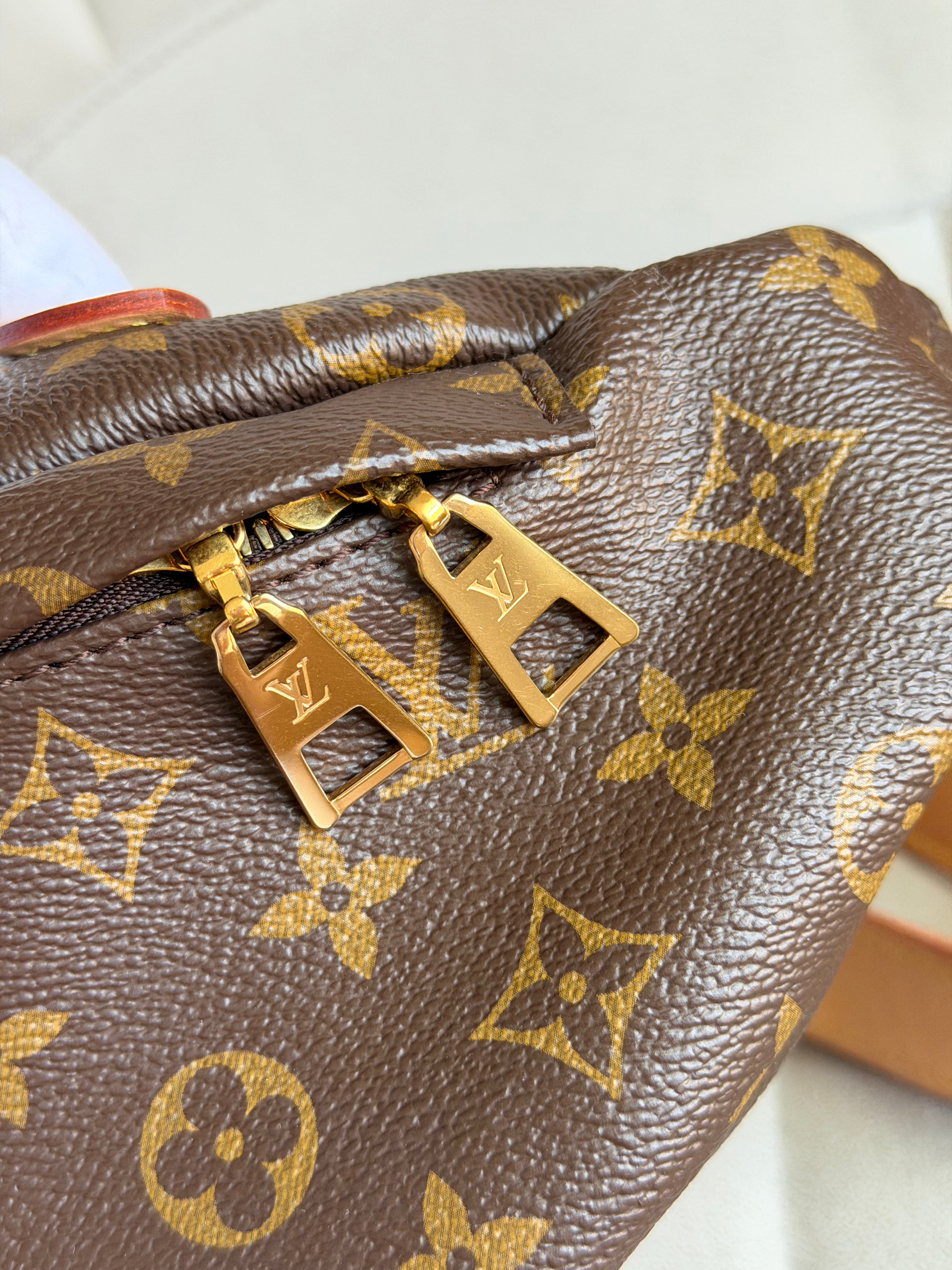 LOUIS VUITTON Bumbag Monogram