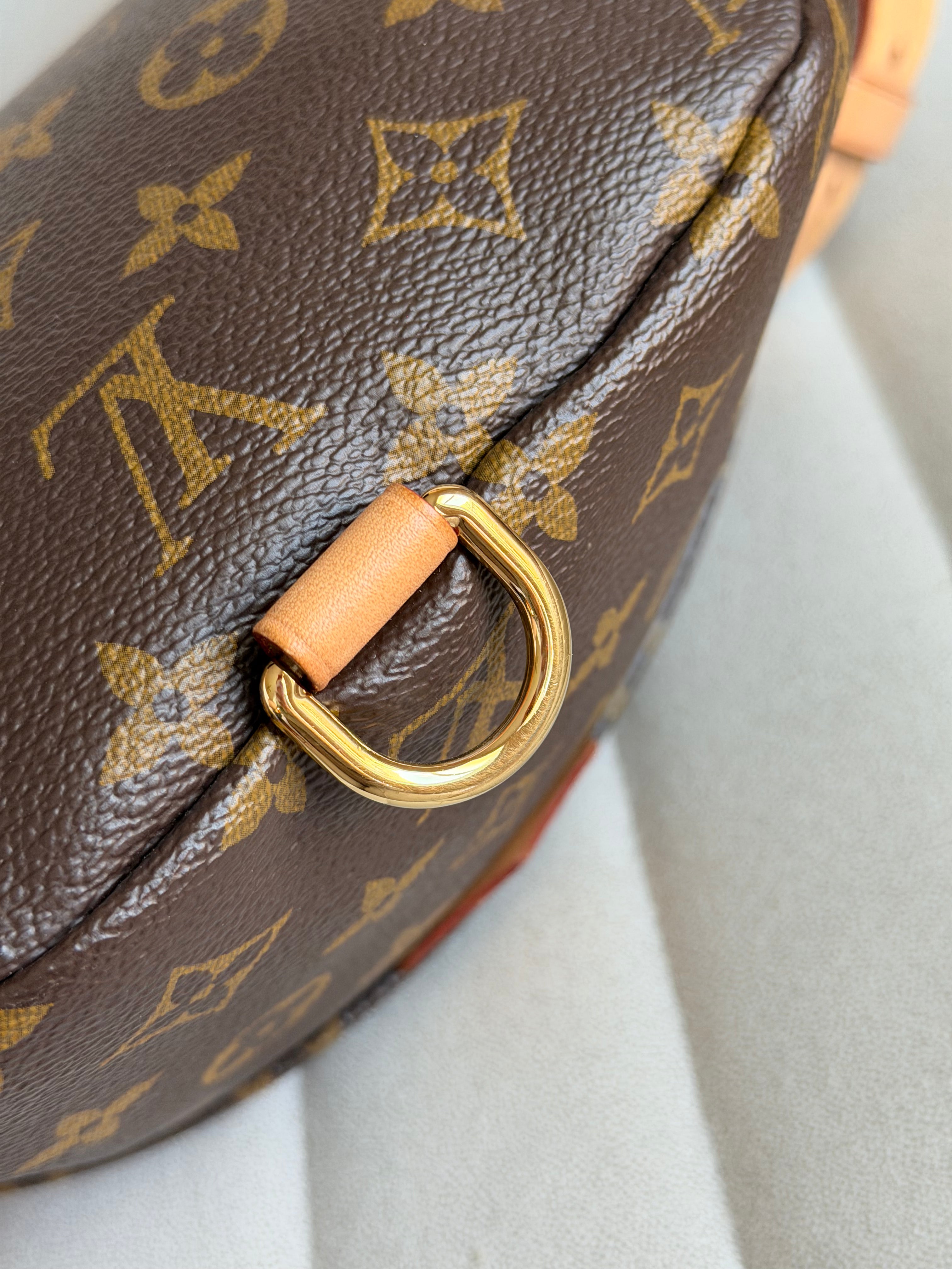 LOUIS VUITTON Bumbag Monogram