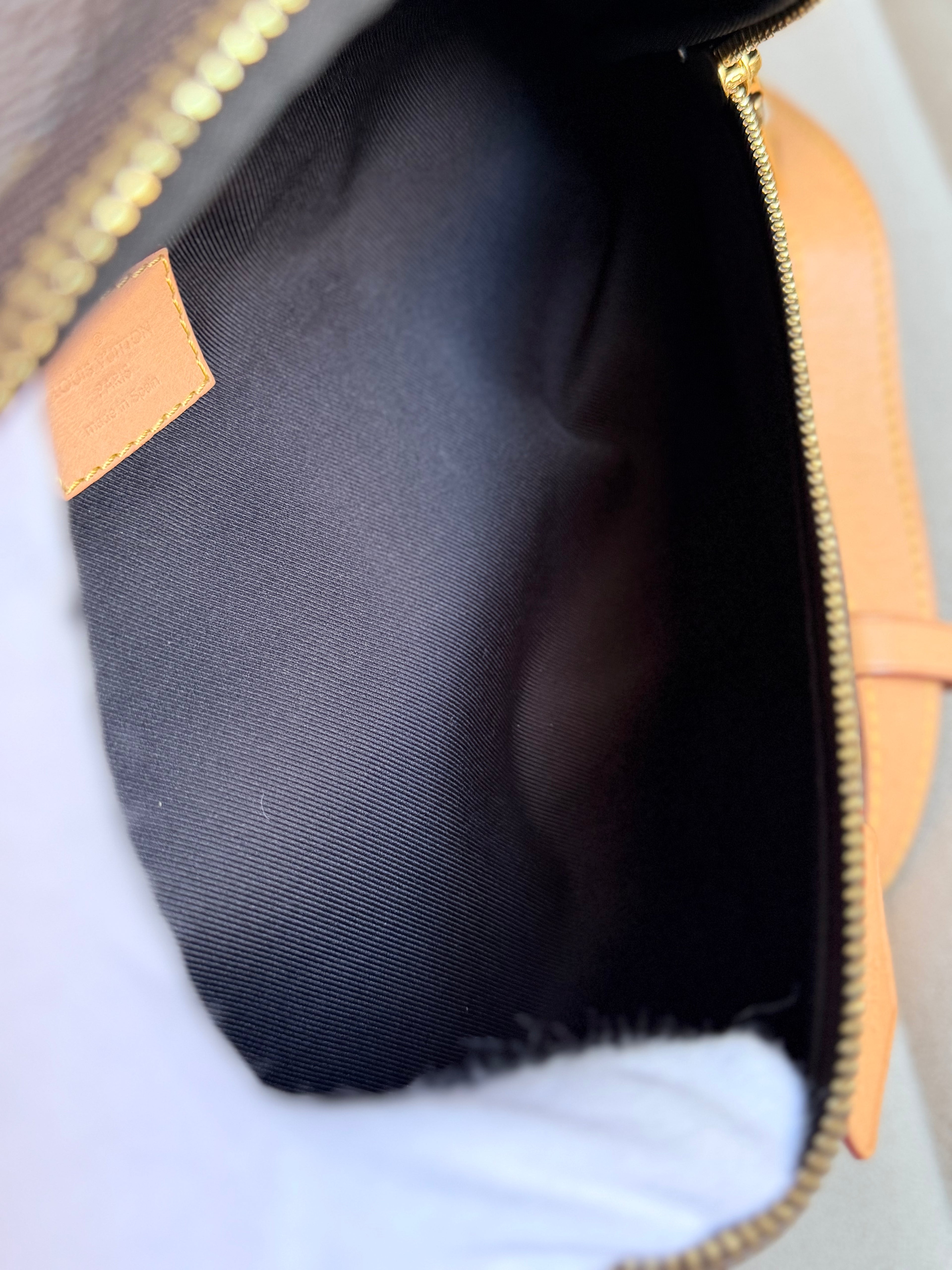 LOUIS VUITTON Bumbag Monogram