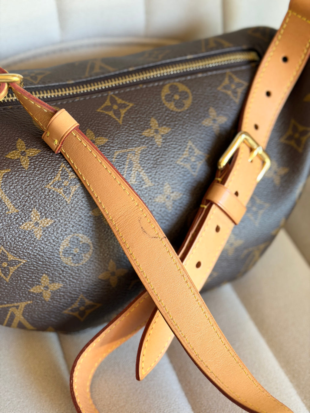 LOUIS VUITTON Bumbag Monogram