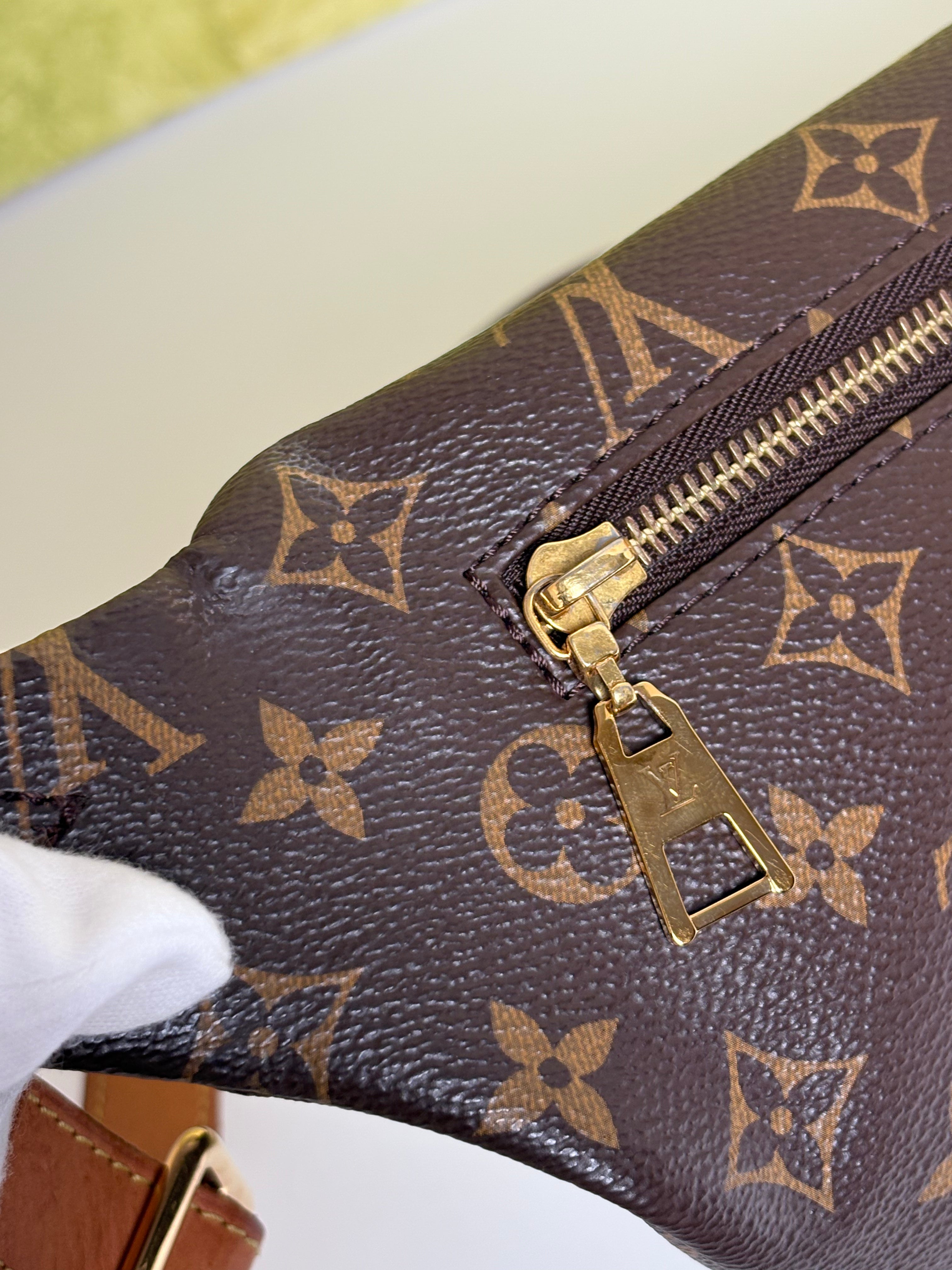LOUIS VUITTON Monogram Bumbag (discontinued)