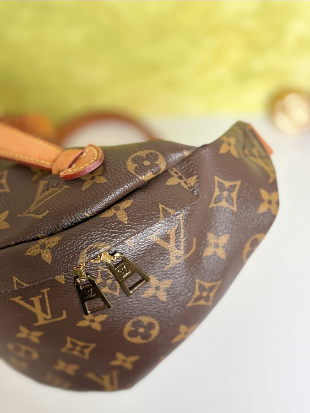 LOUIS VUITTON Monogram Bumbag (discontinued)