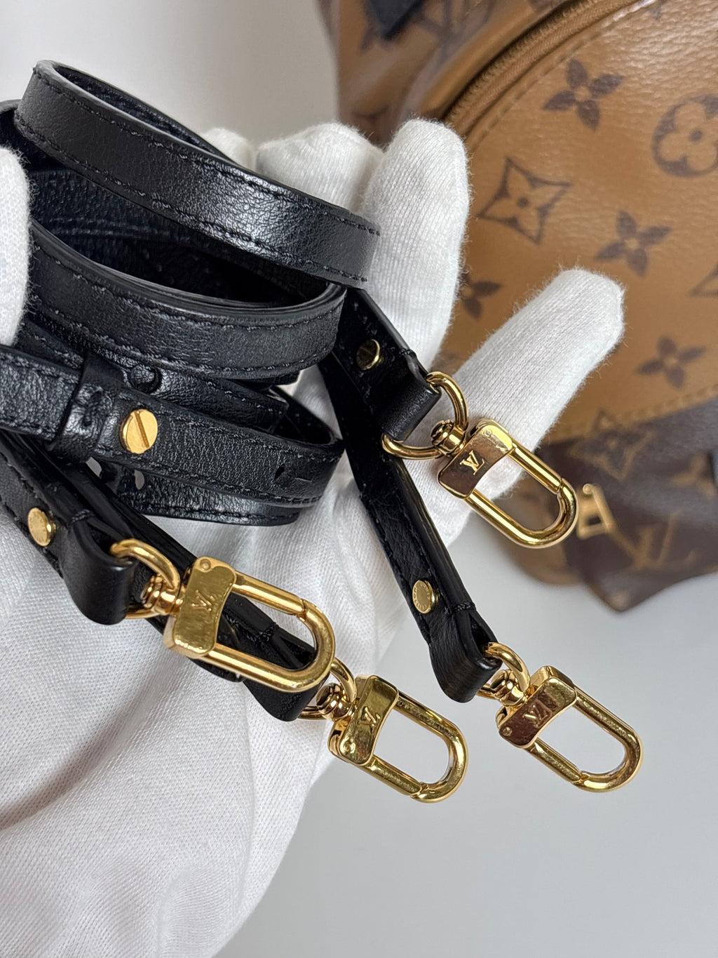 LOUIS VUITTON Reverse Monogram Palm Springs Backpack Mini (discontinued)