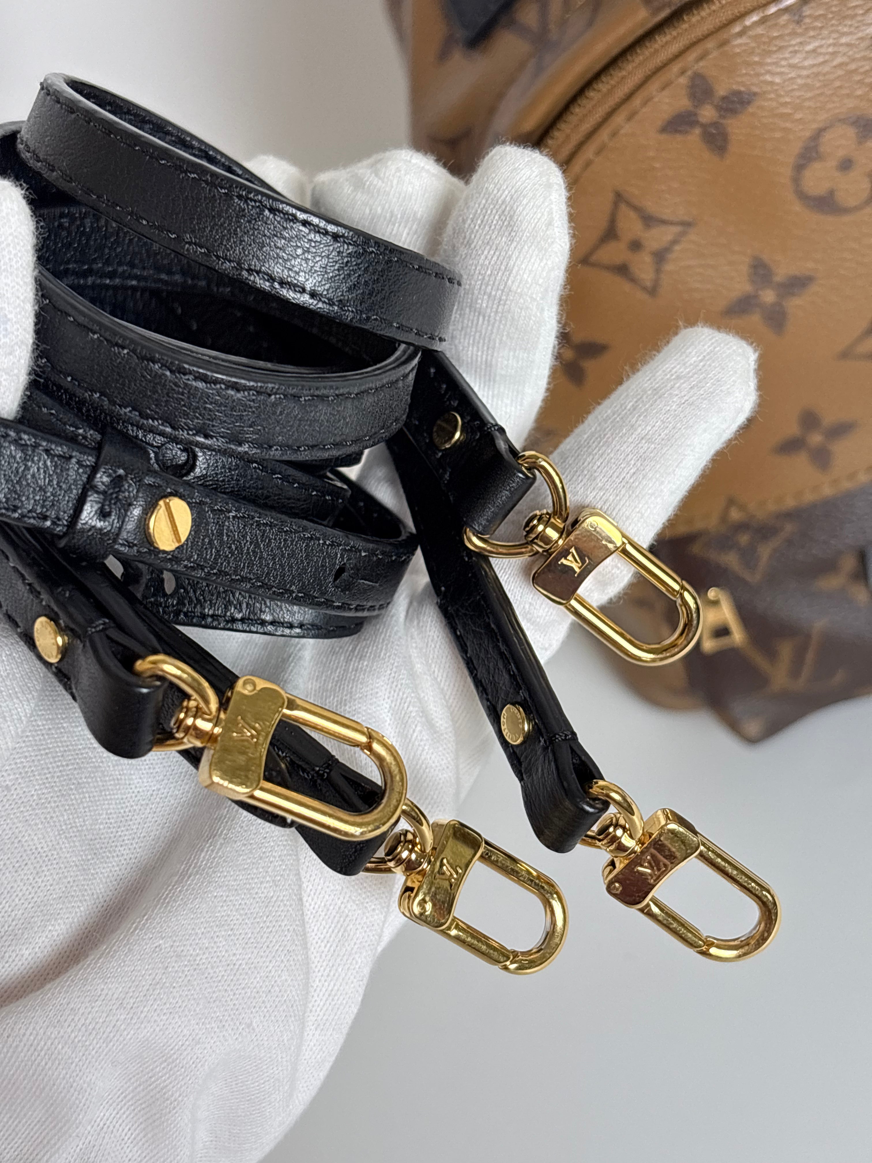 LOUIS VUITTON Reverse Monogram Palm Springs Backpack Mini (discontinued)