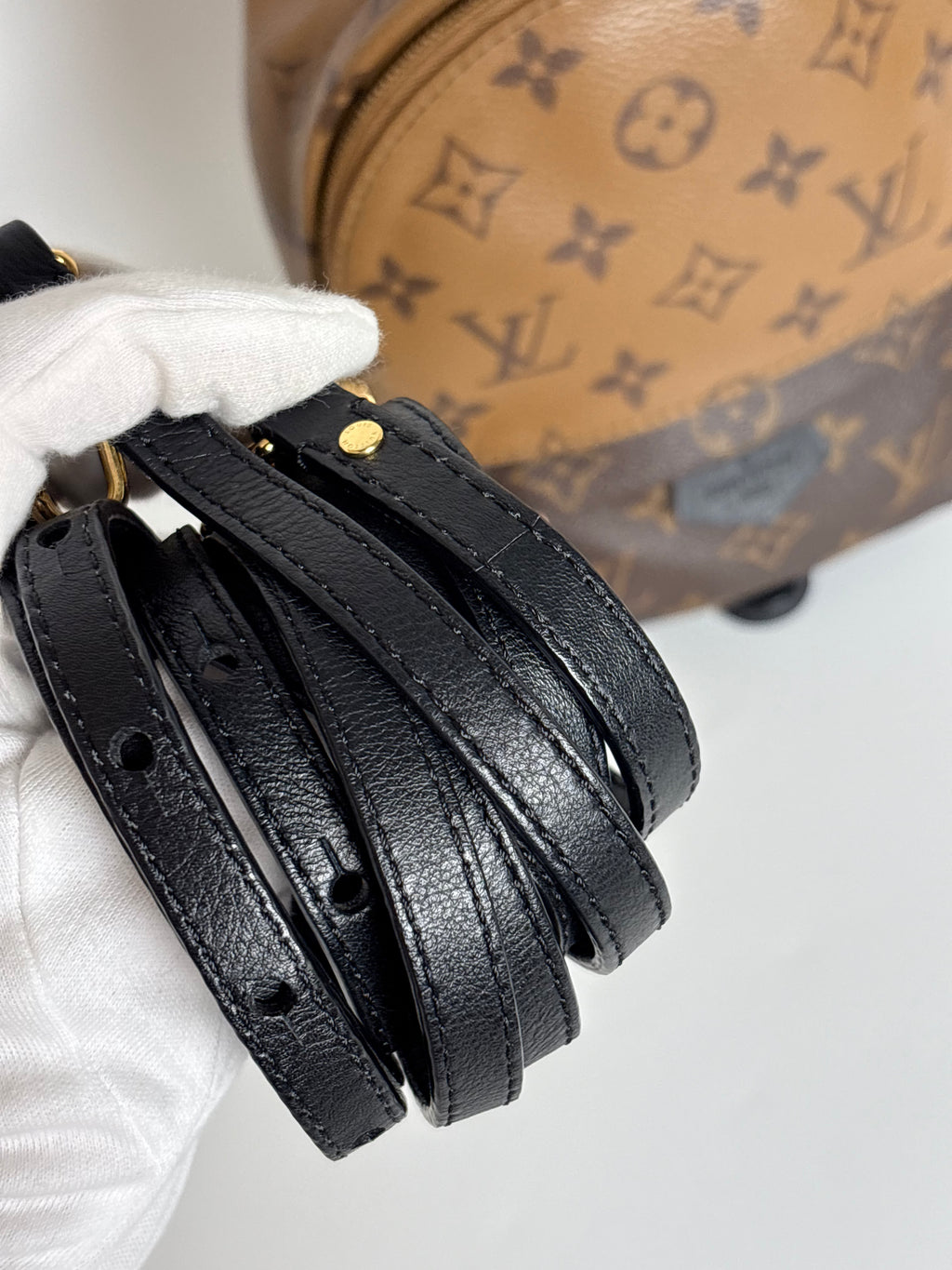 LOUIS VUITTON Reverse Monogram Palm Springs Backpack Mini (discontinued)