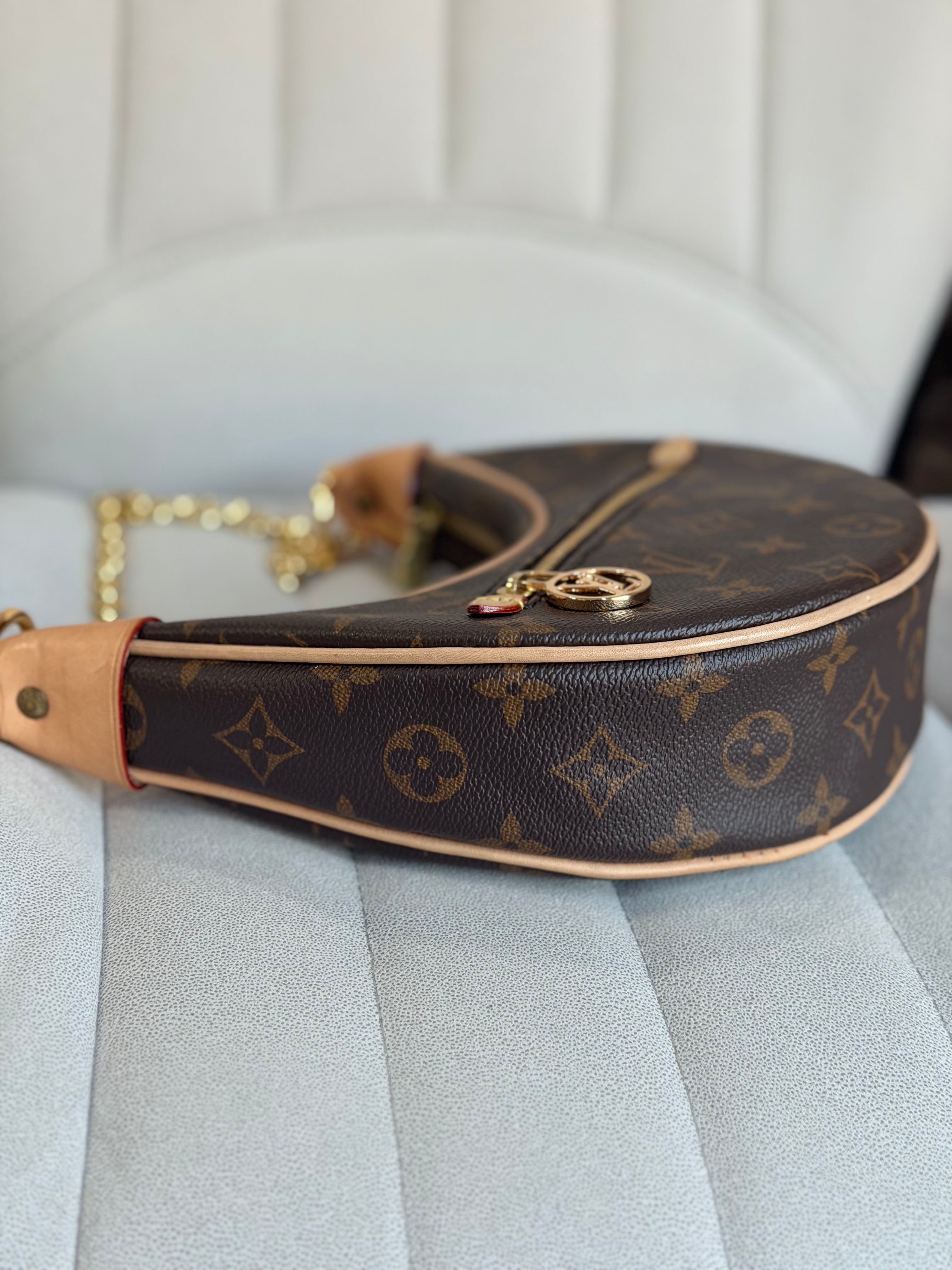 LOUIS VUITTON Loop PM Monogram