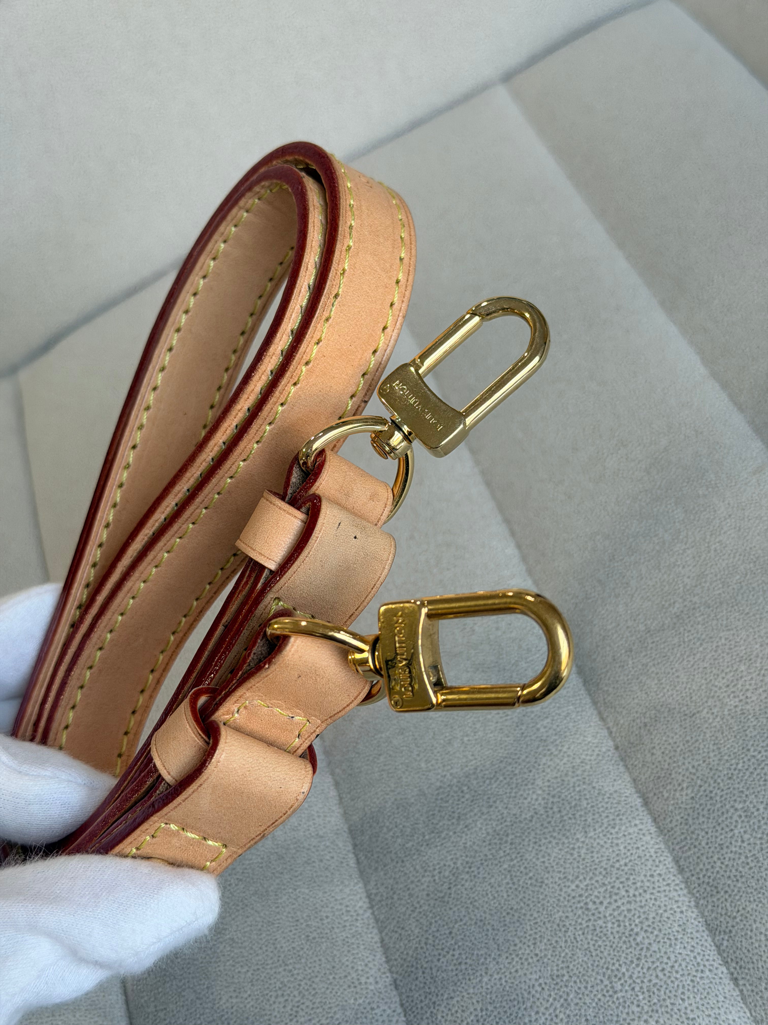 LOUIS VUITTON Loop PM Monogram
