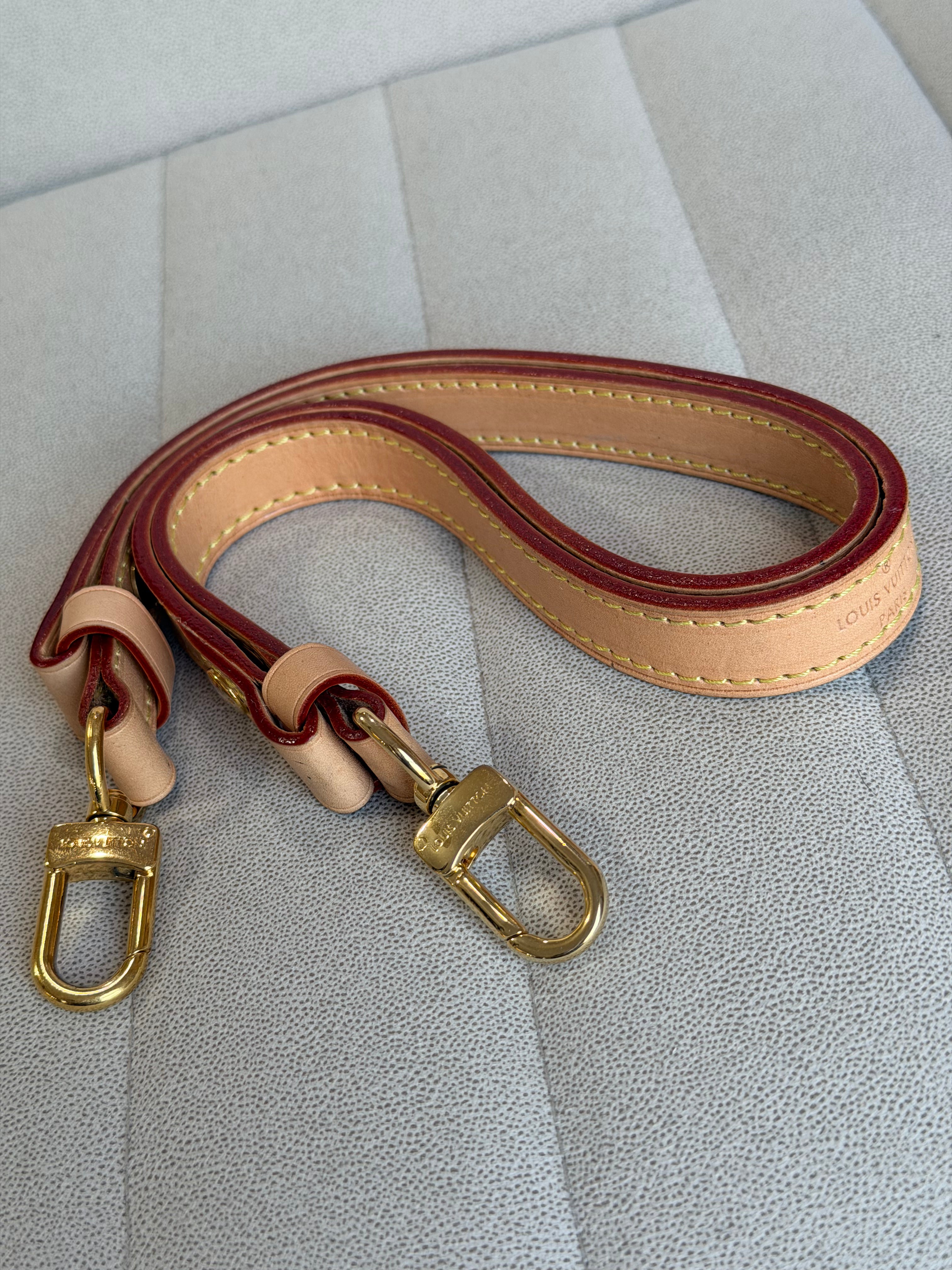 LOUIS VUITTON Loop PM Monogram