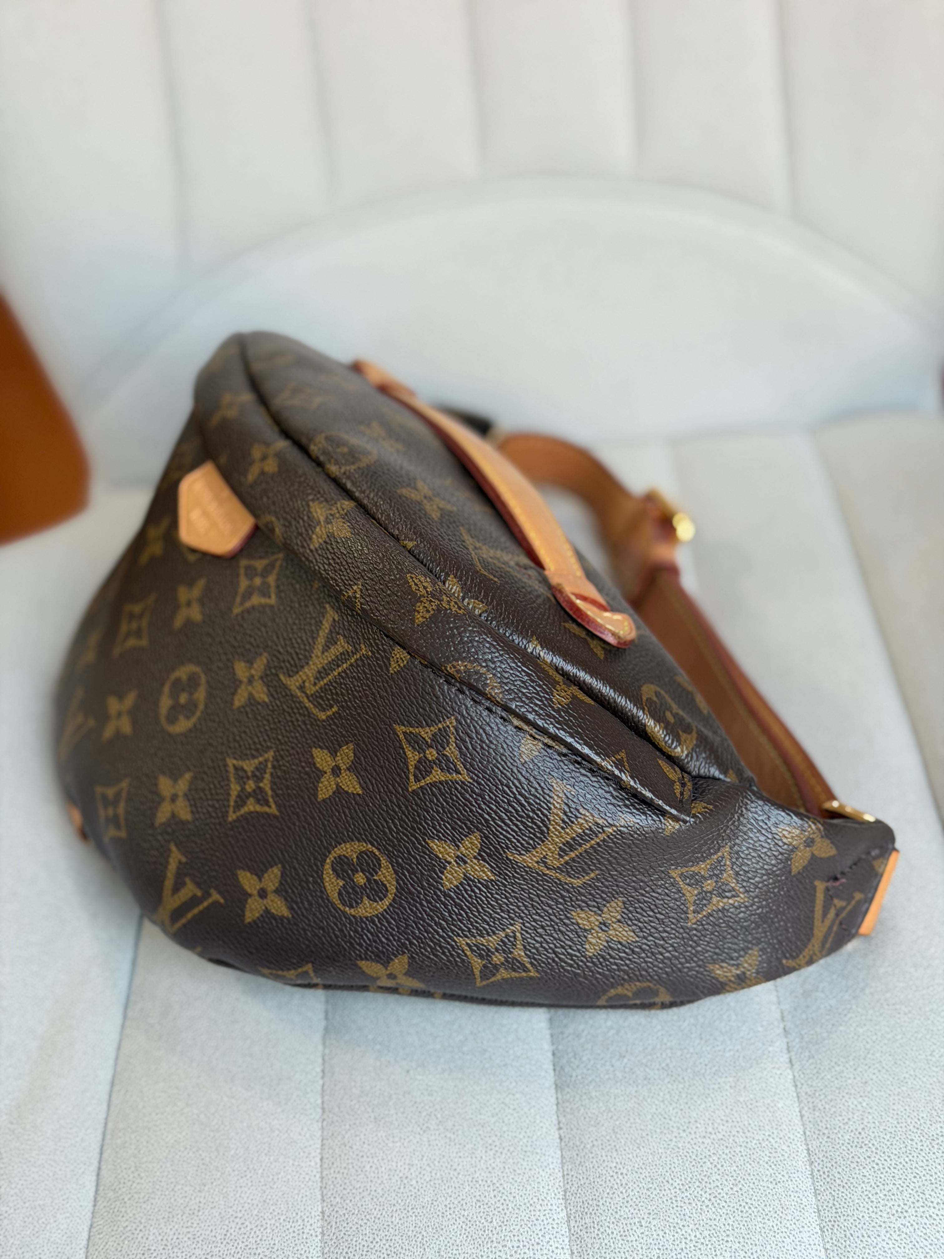 LOUIS VUITTON Bumbag Monogram