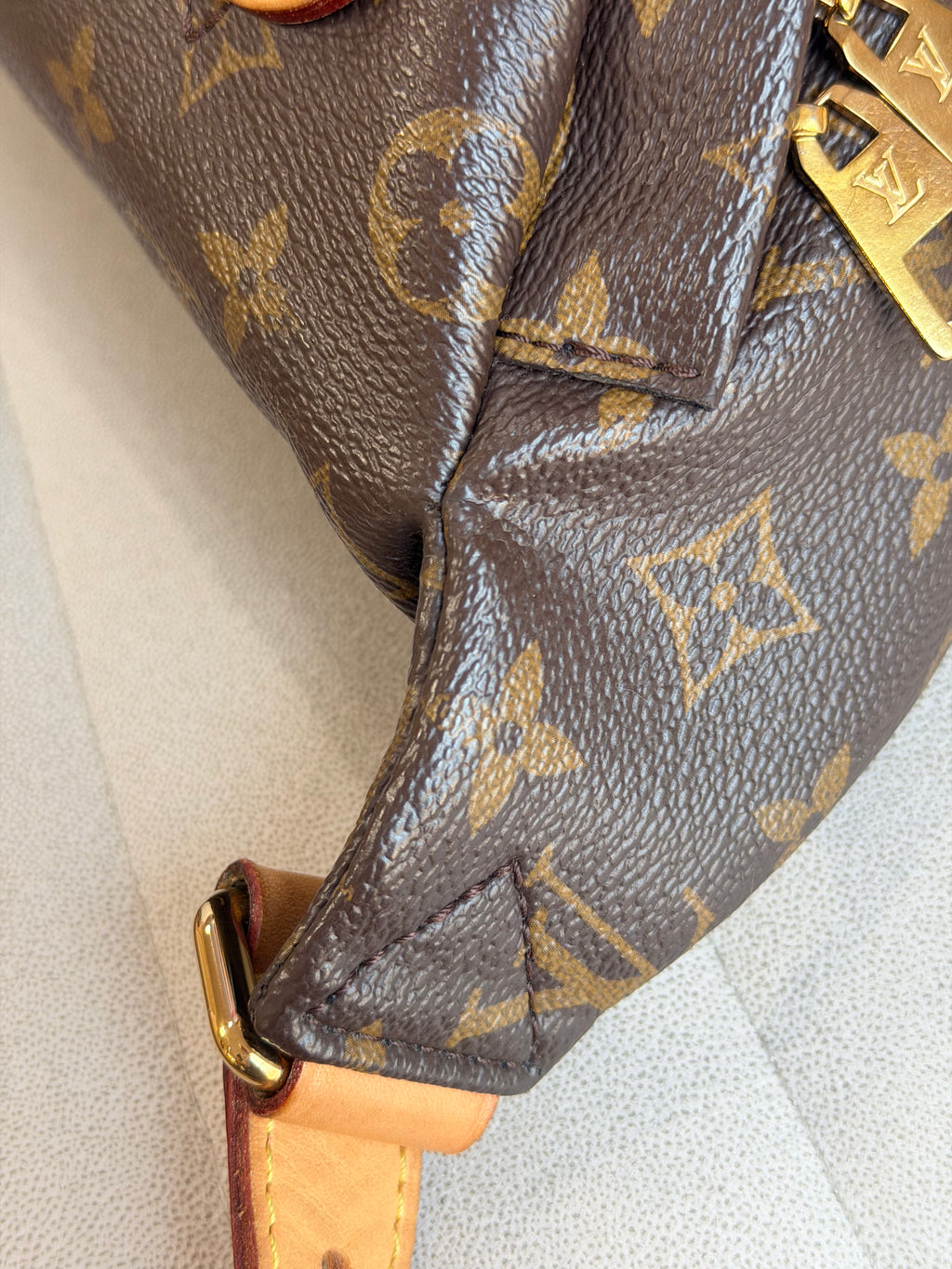 LOUIS VUITTON Bumbag Monogram