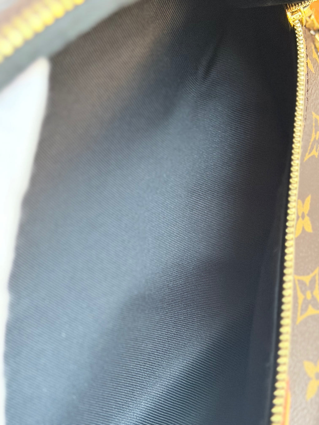 LOUIS VUITTON Bumbag Monogram