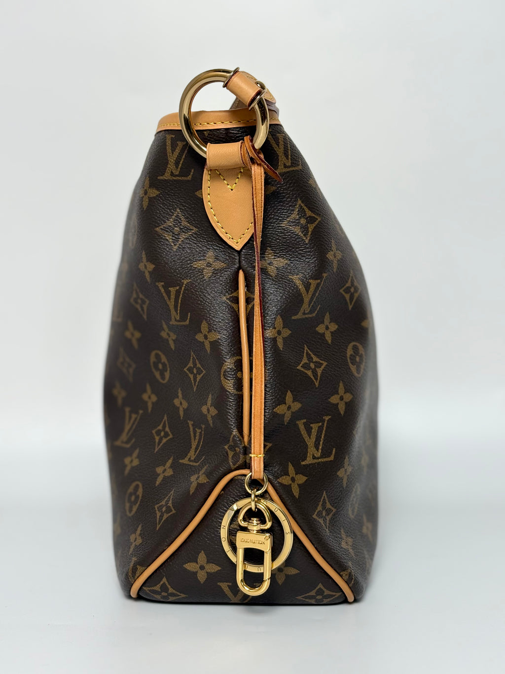LOUIS VUITTON Delightful PM Monogram