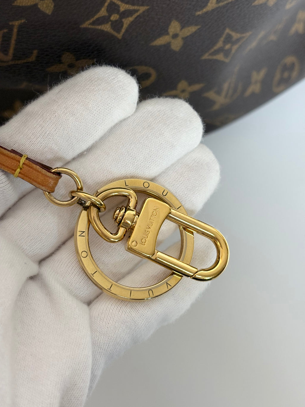 LOUIS VUITTON Delightful PM Monogram