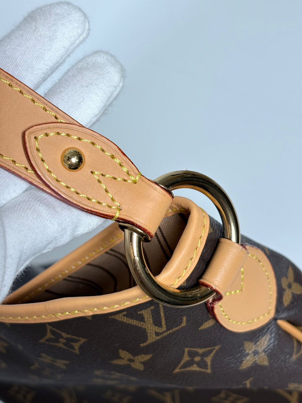 LOUIS VUITTON Delightful PM Monogram
