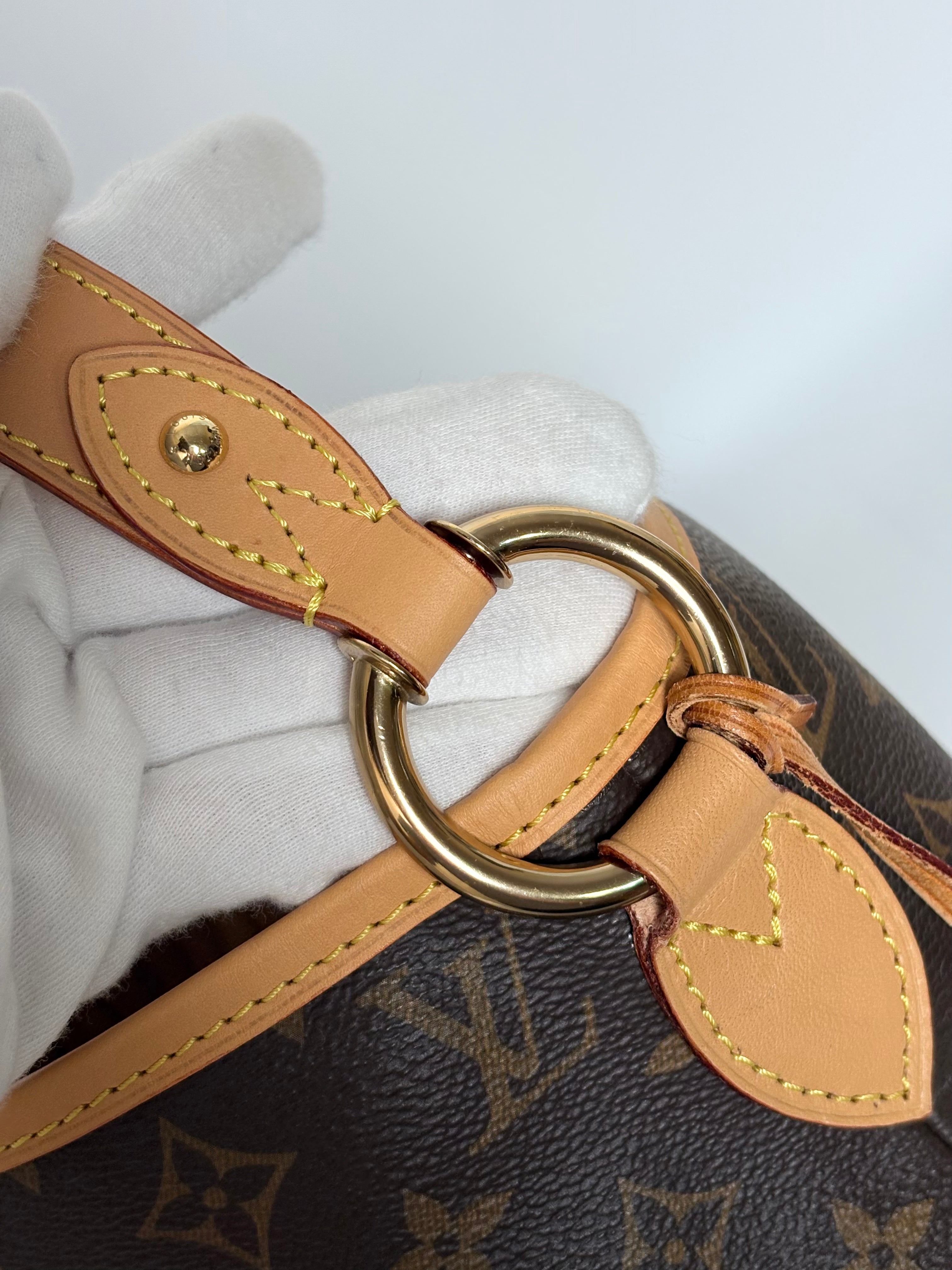 LOUIS VUITTON Delightful PM Monogram