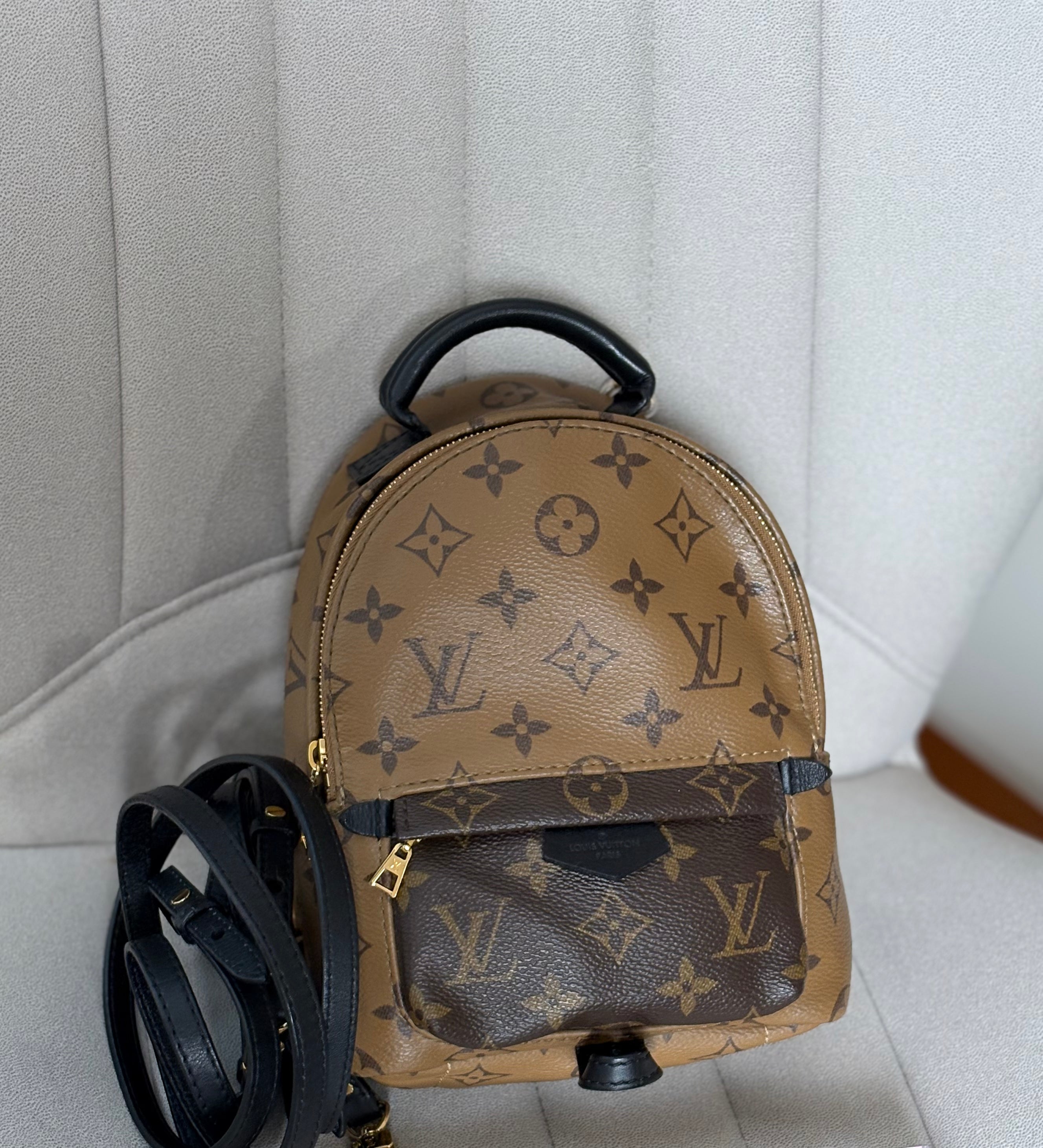 LOUIS VUITTON Reverse Monogram Palm Springs Backpack Mini (discontinued)