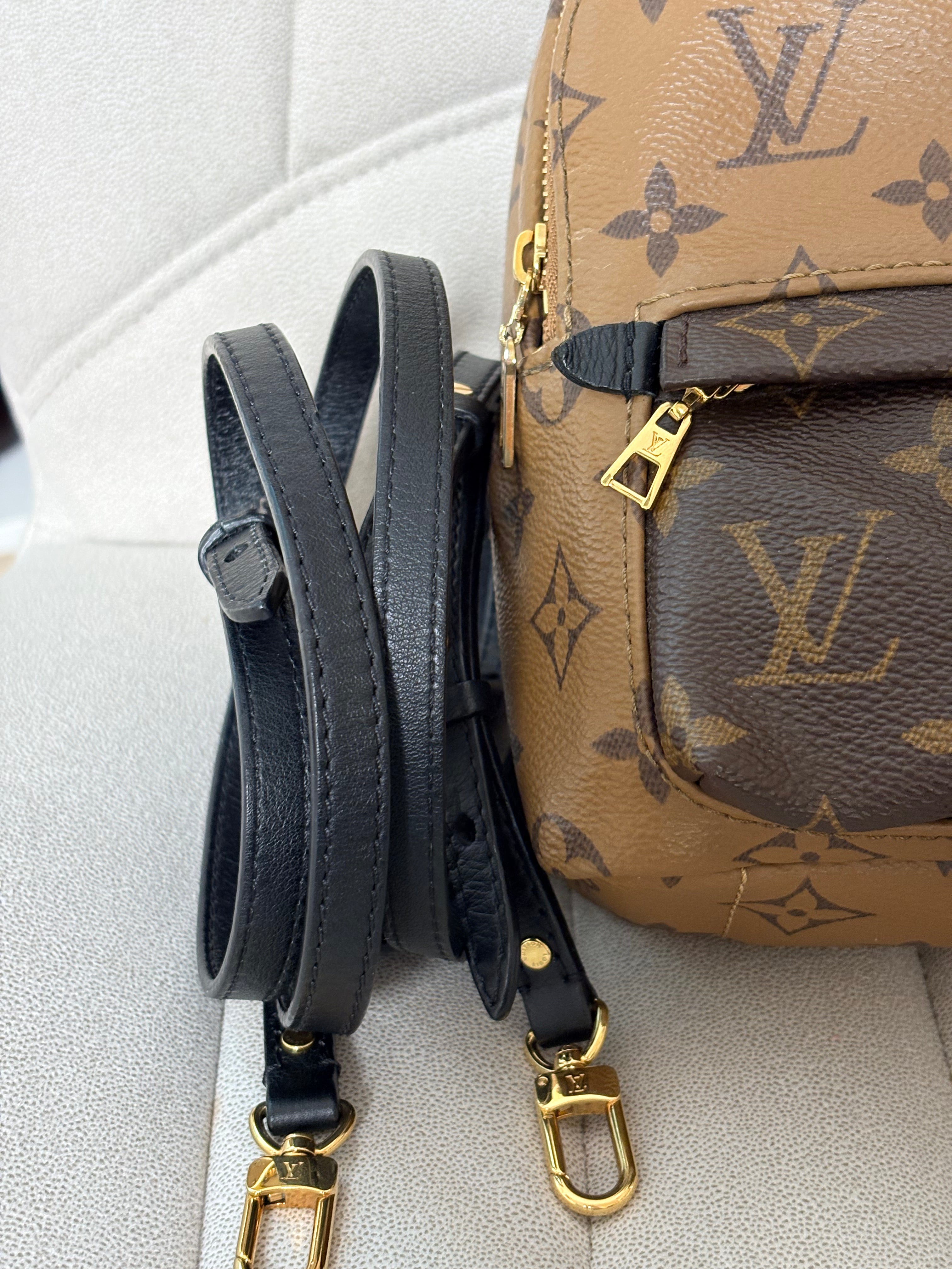 LOUIS VUITTON Reverse Monogram Palm Springs Backpack Mini (discontinued)