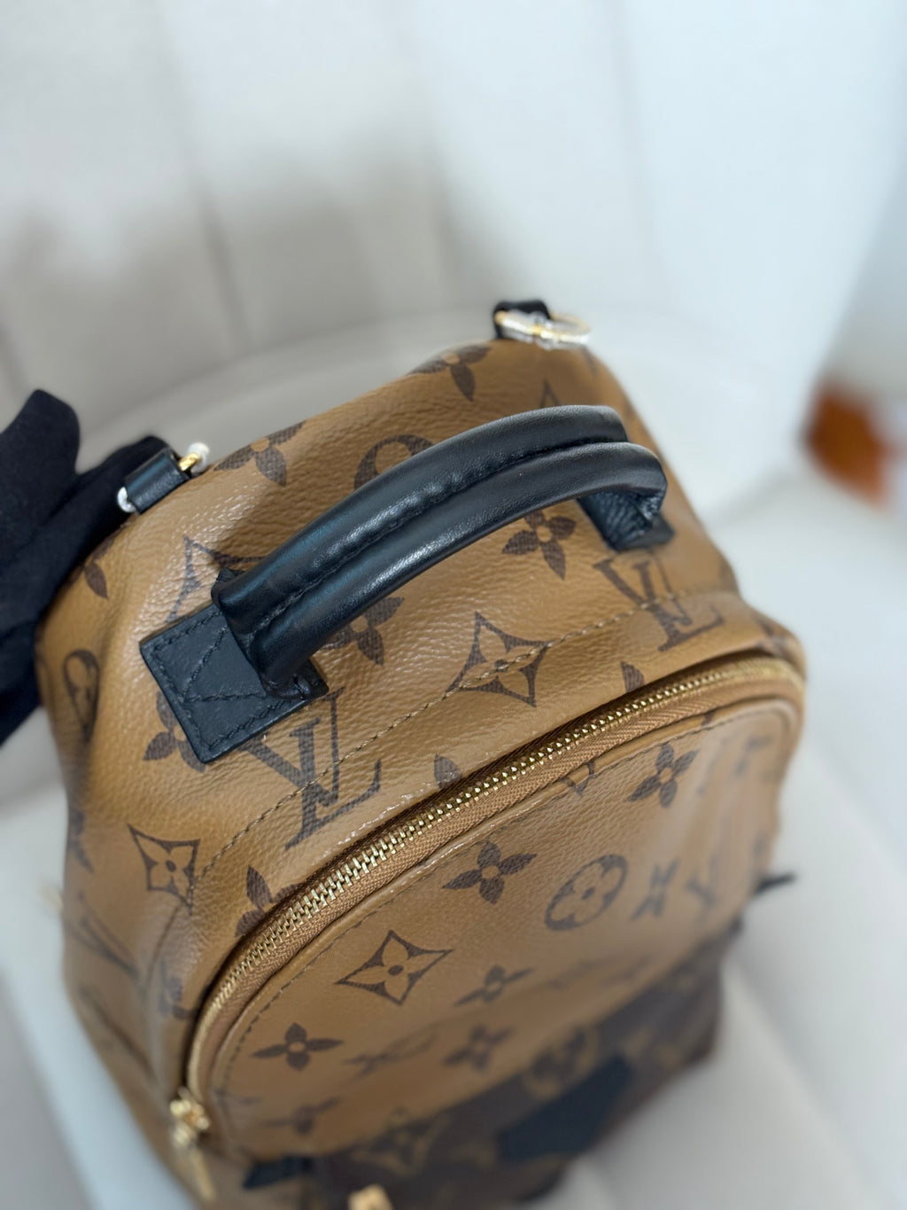 LOUIS VUITTON Reverse Monogram Palm Springs Backpack Mini (discontinued)
