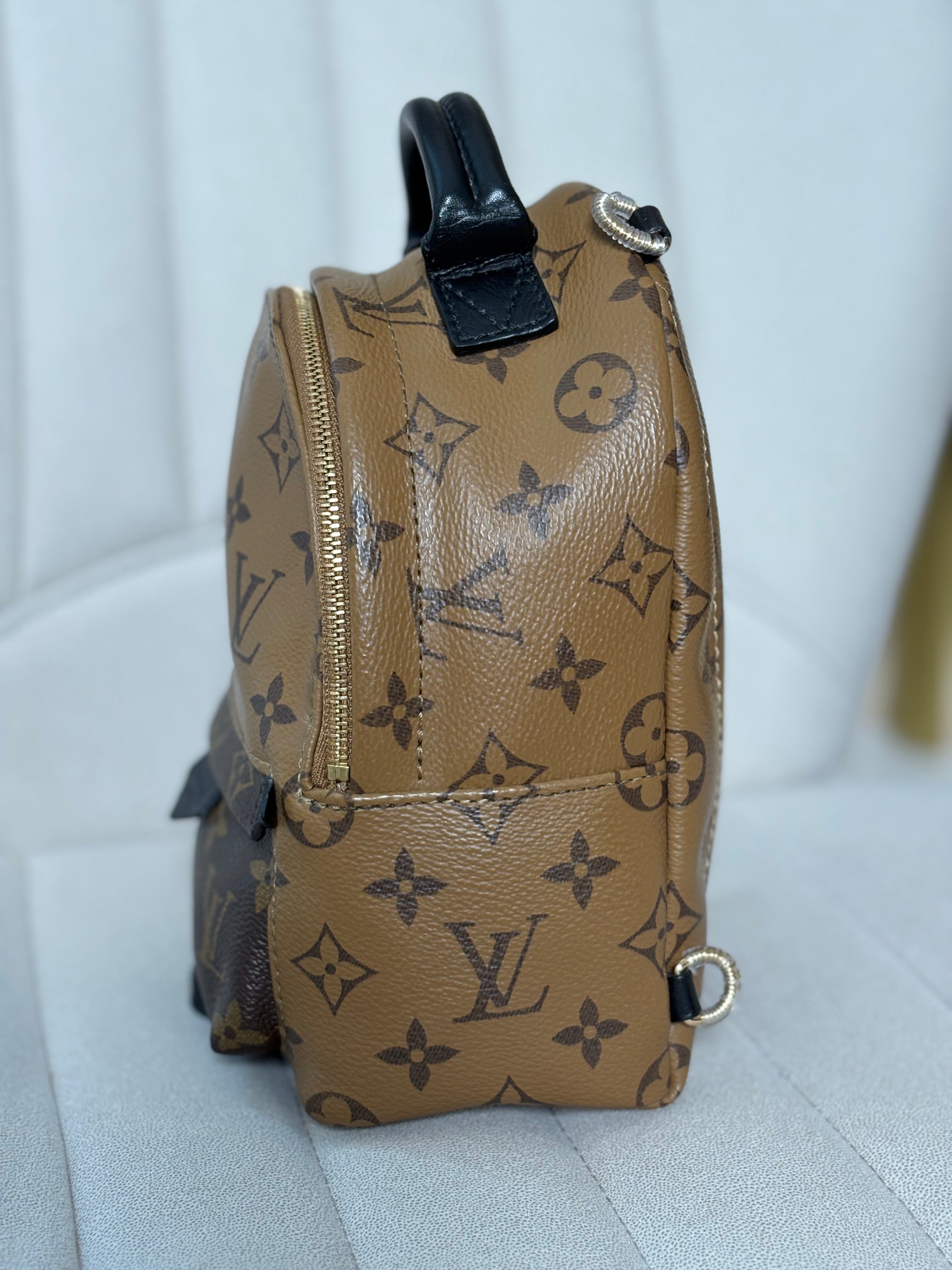 LOUIS VUITTON Reverse Monogram Palm Springs Backpack Mini (discontinued)