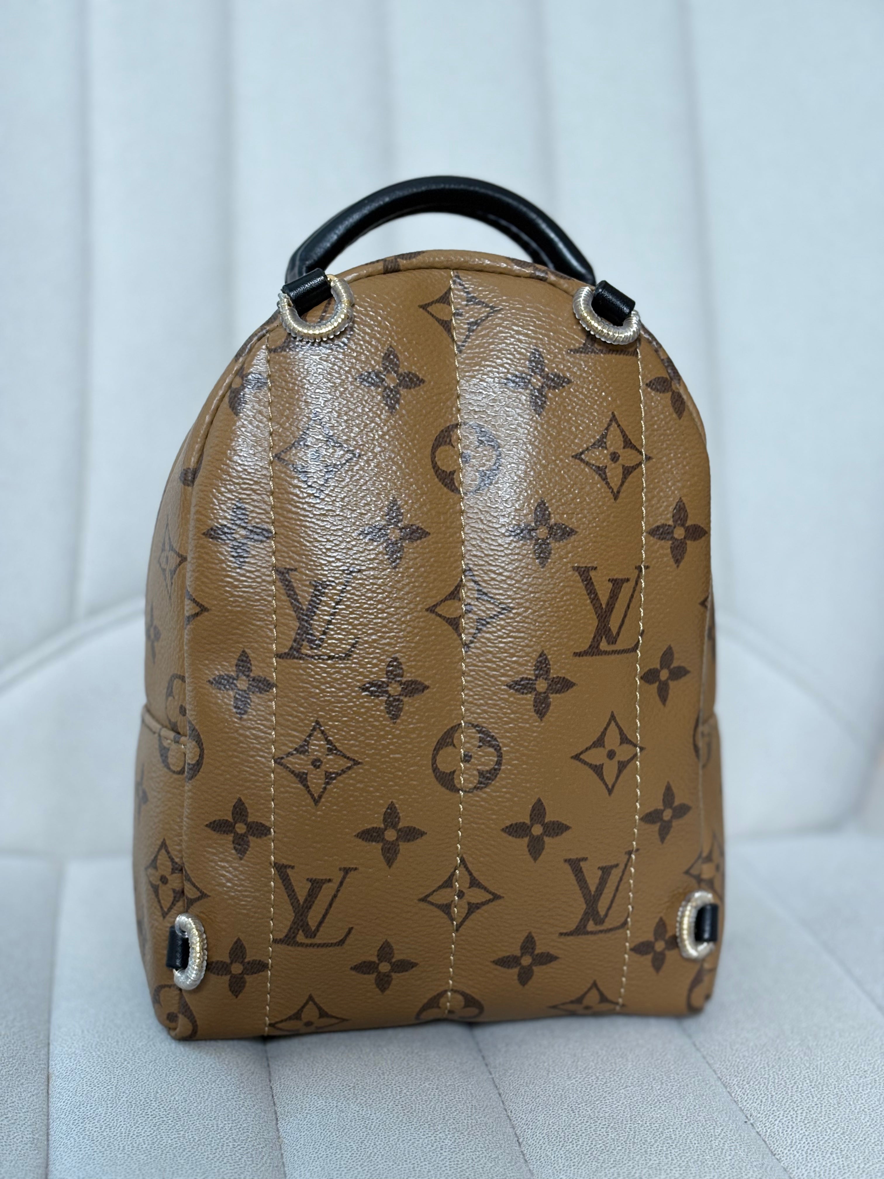 LOUIS VUITTON Reverse Monogram Palm Springs Backpack Mini (discontinued)