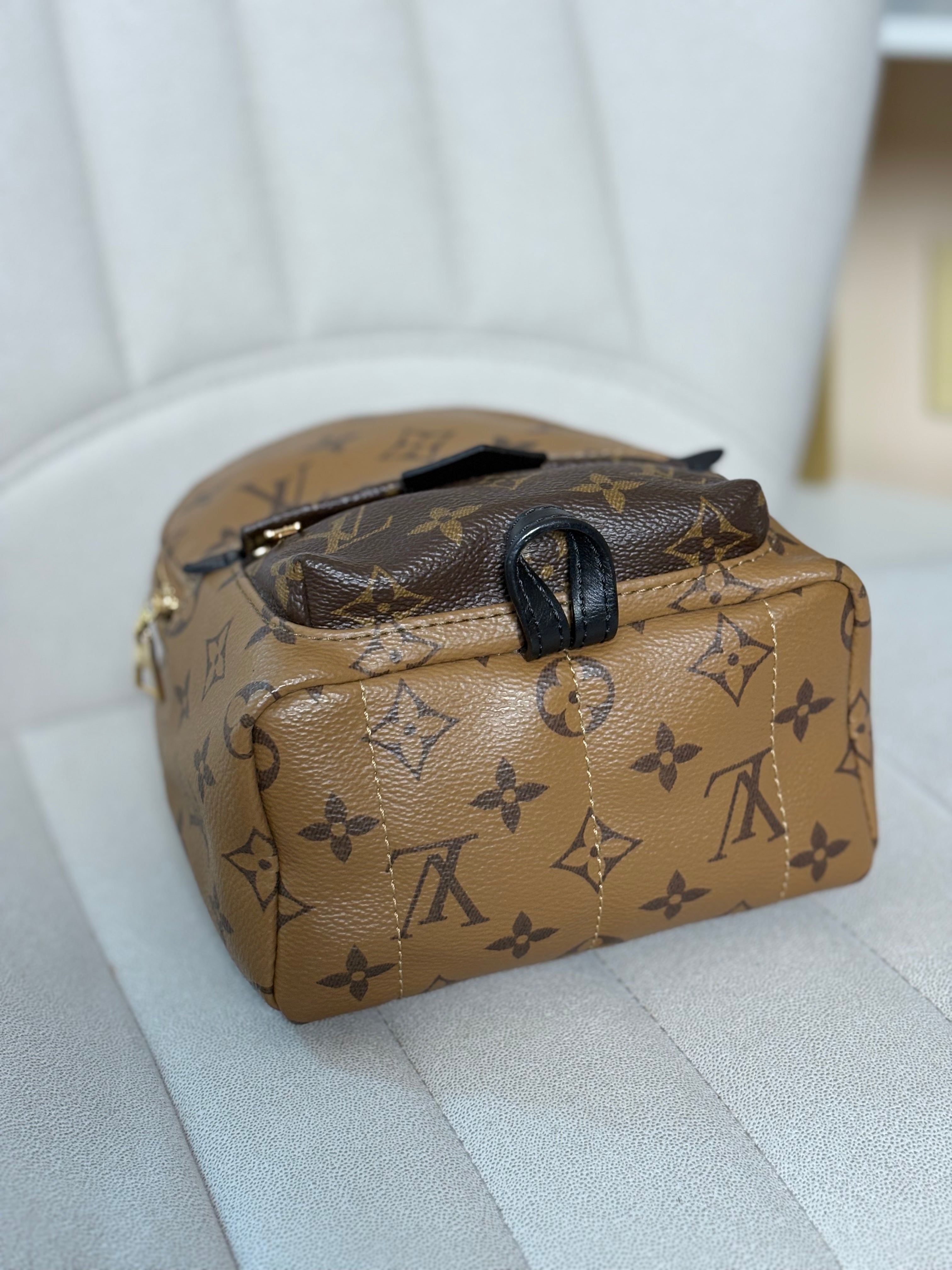 LOUIS VUITTON Reverse Monogram Palm Springs Backpack Mini (discontinued)