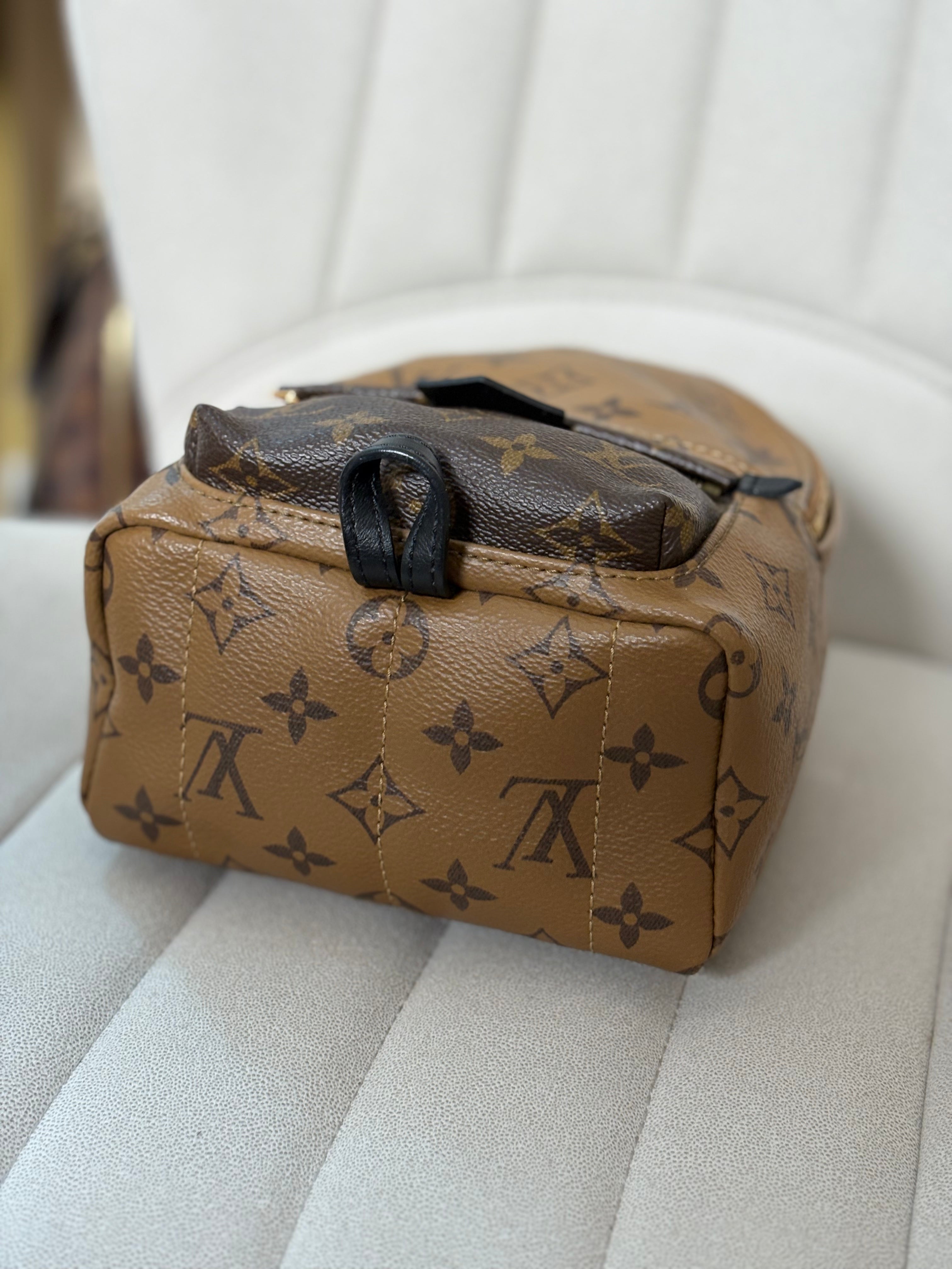 LOUIS VUITTON Reverse Monogram Palm Springs Backpack Mini (discontinued)