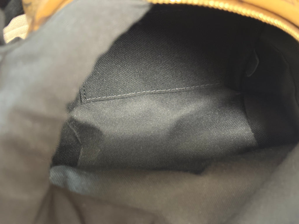 LOUIS VUITTON Reverse Monogram Palm Springs Backpack Mini (discontinued)