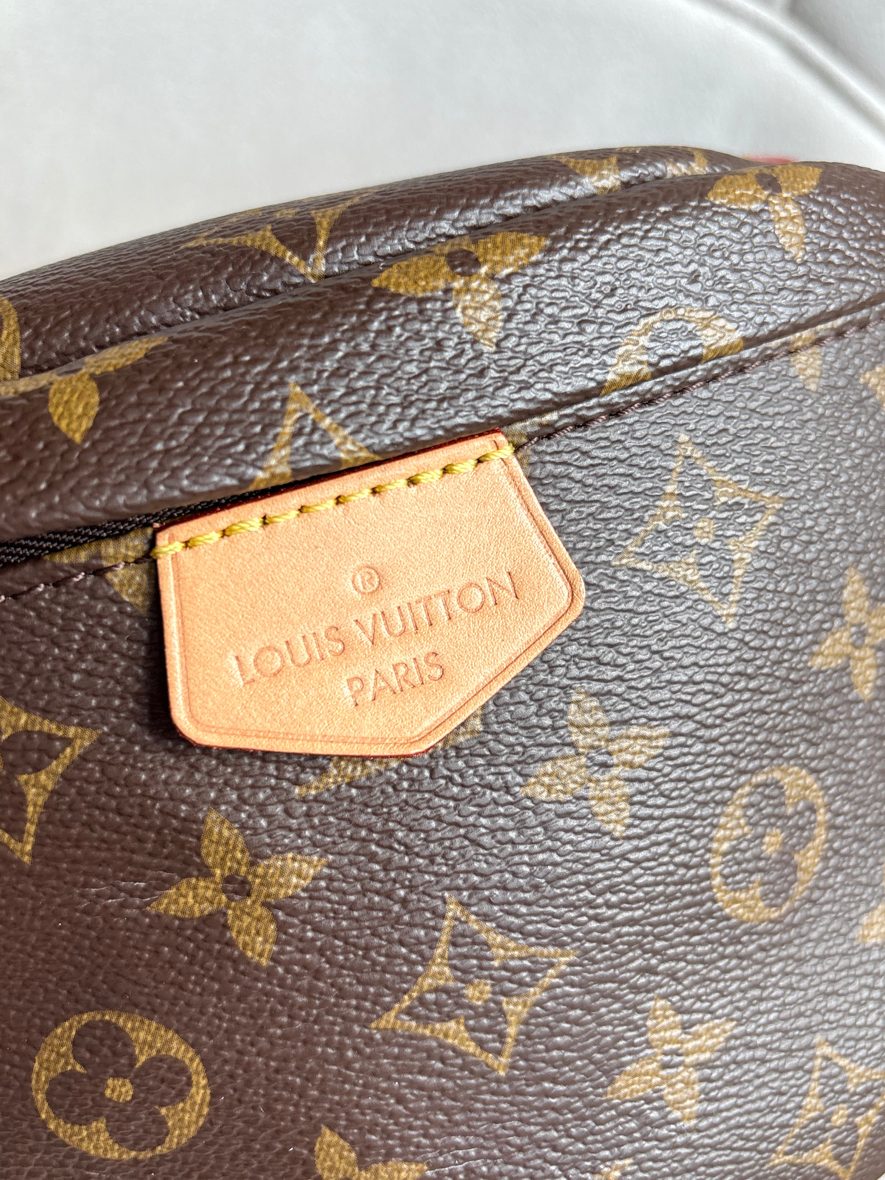 LOUIS VUITTON Monogram Bumbag