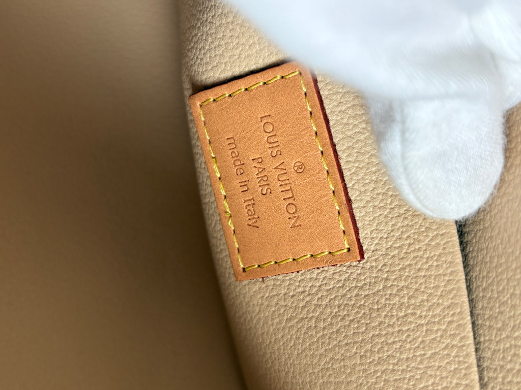 LOUIS VUITTON Nice BB Monogram Vanity bag