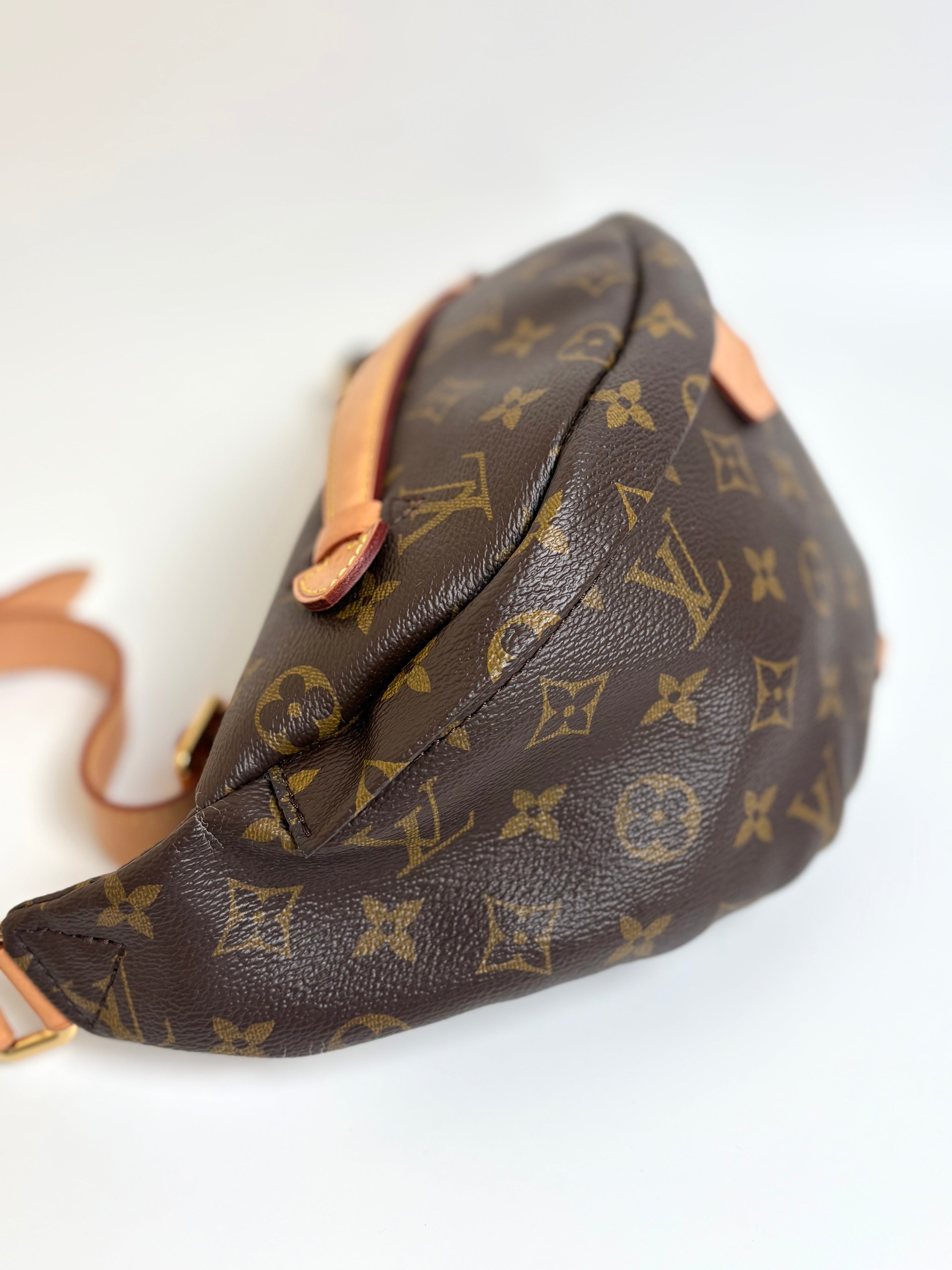 LOUIS VUITTON Monogram Bumbag