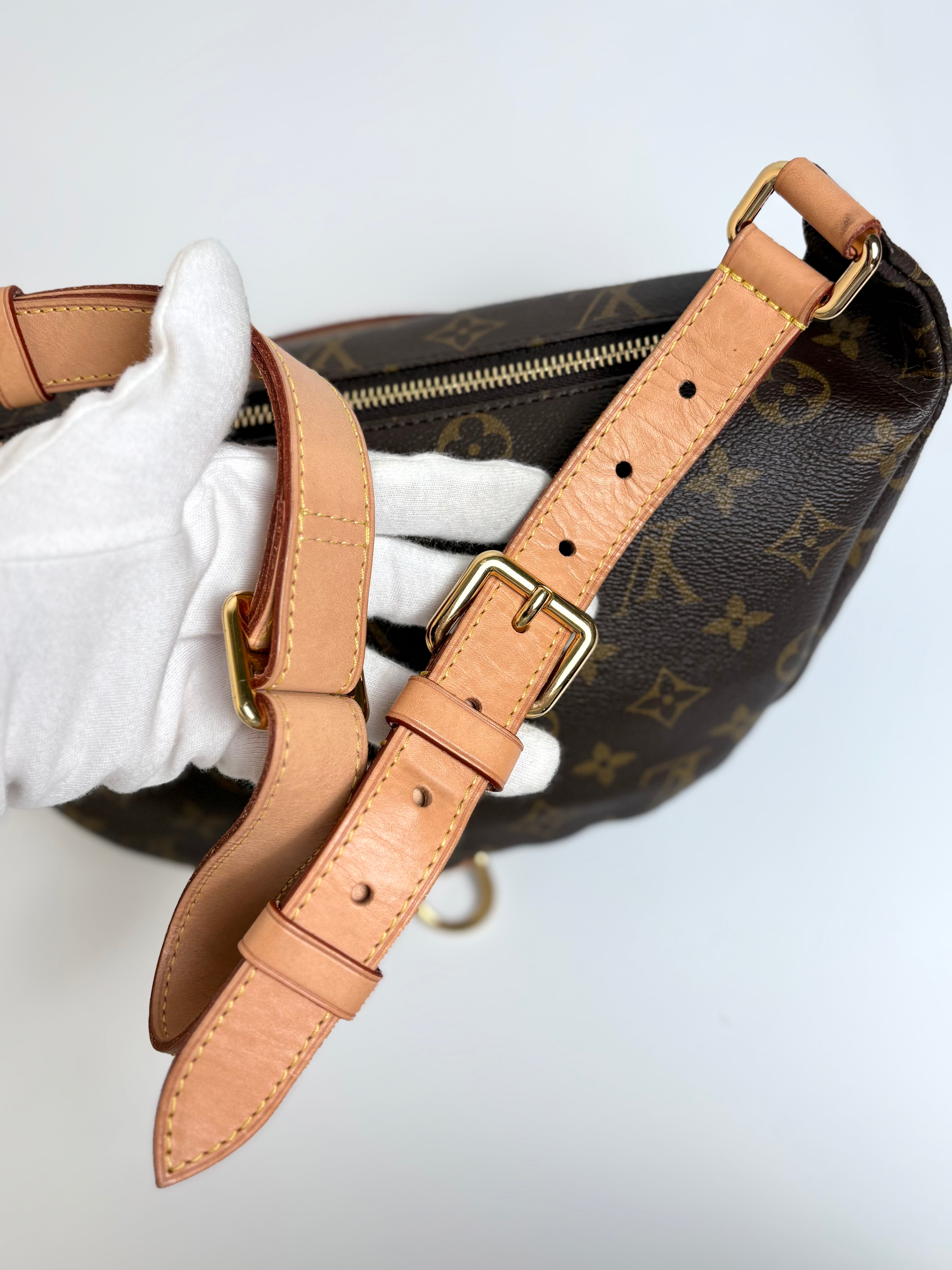 LOUIS VUITTON Monogram Bumbag