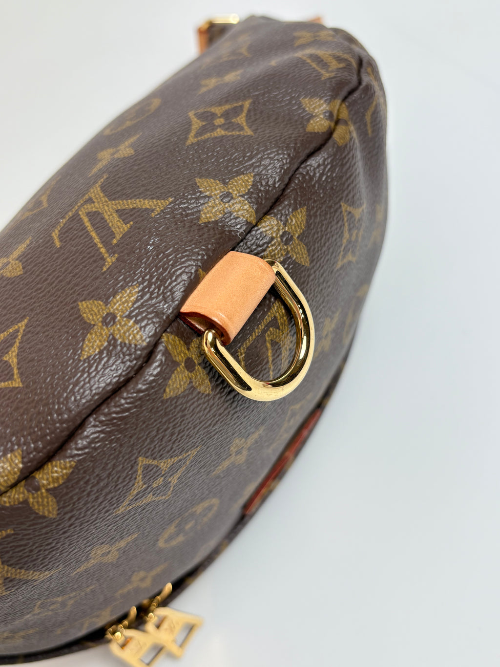 LOUIS VUITTON Monogram Bumbag