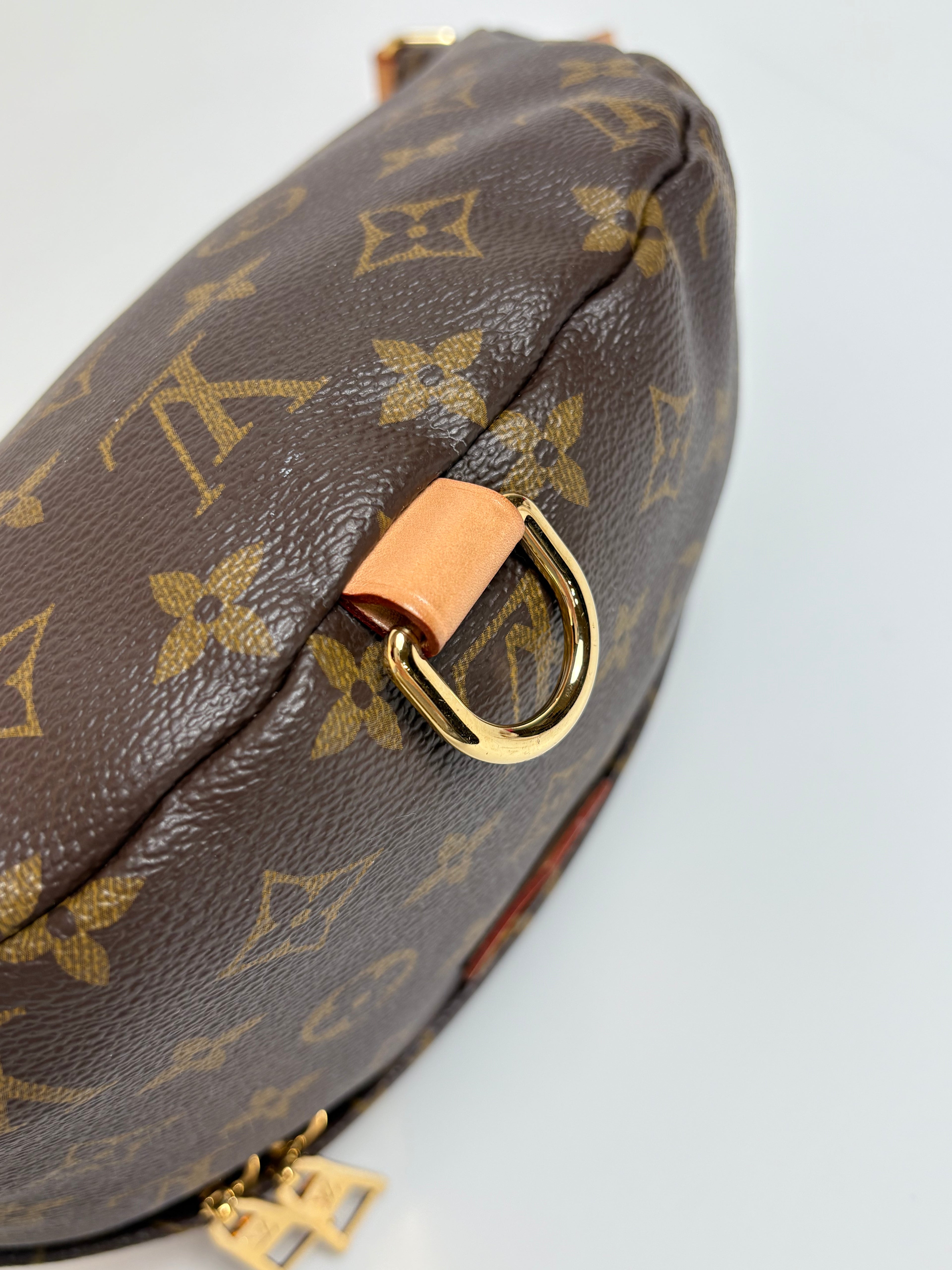 LOUIS VUITTON Monogram Bumbag