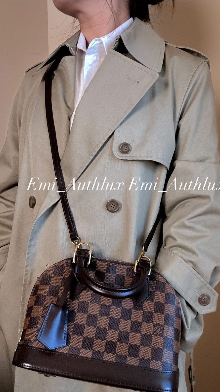 LOUIS VUITTON Alma BB Damier Ebene canvas