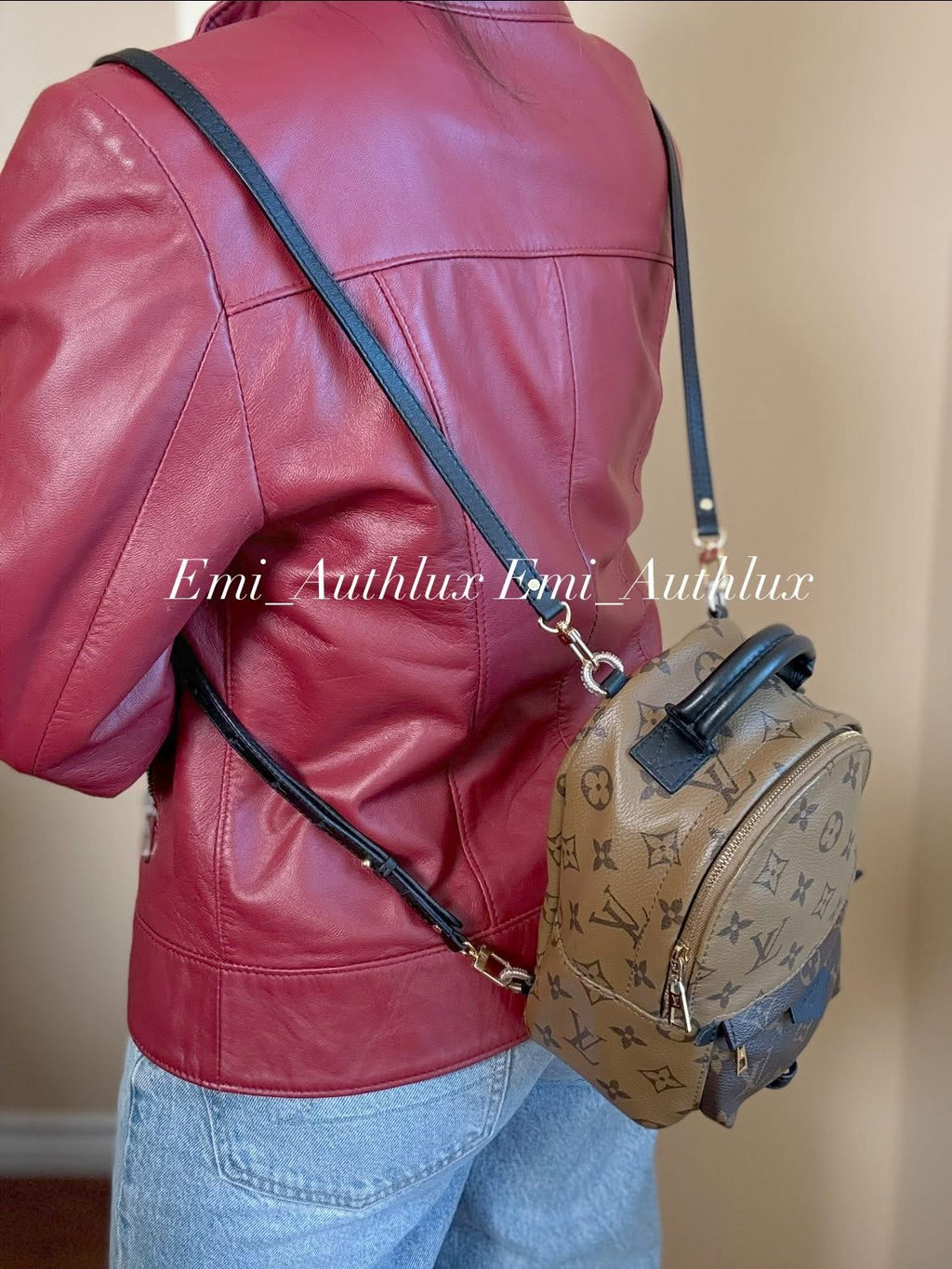 LOUIS VUITTON Reverse Monogram Palm Springs Backpack Mini (discontinued)